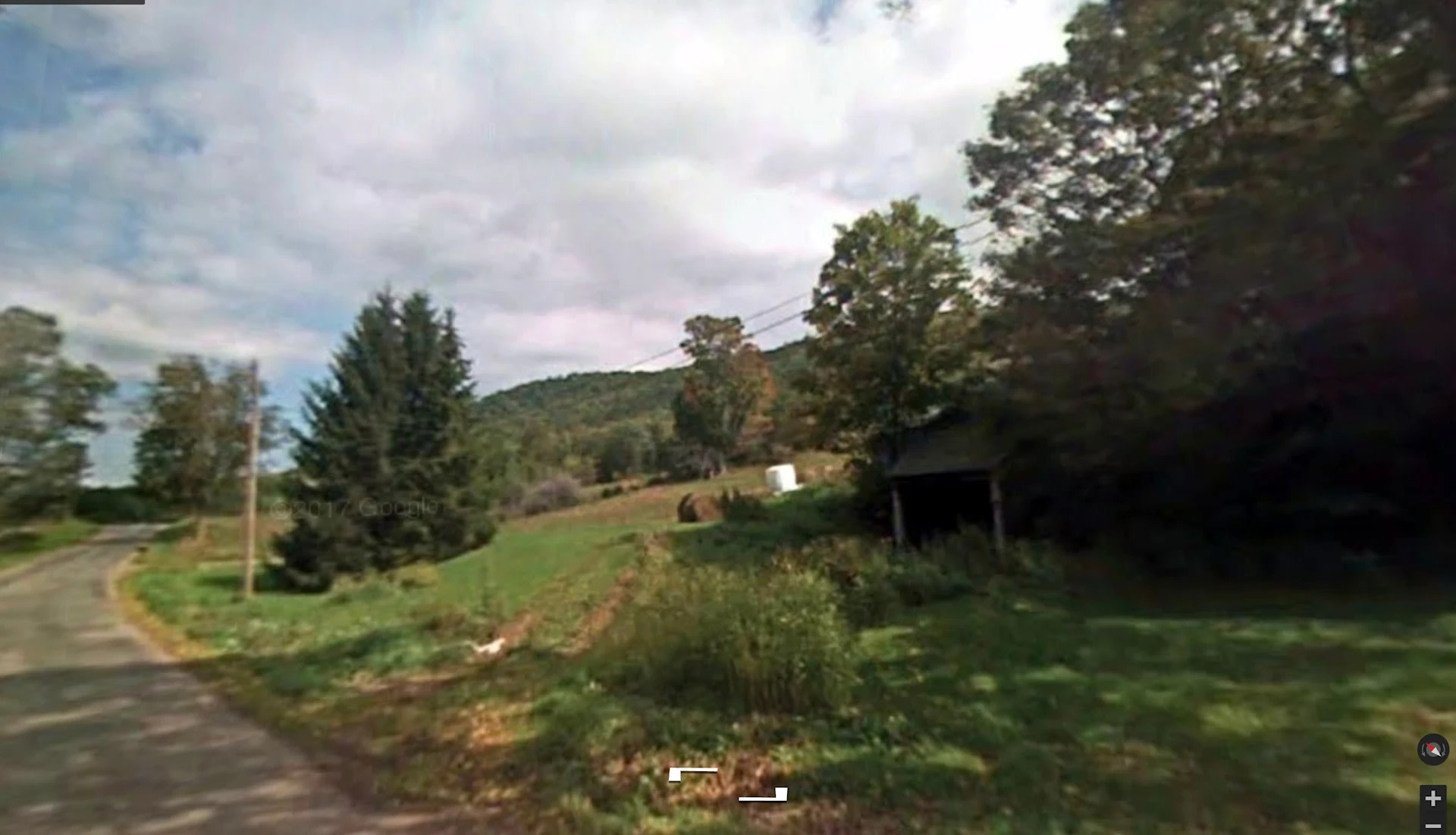 Mikemolands Betty Brook Farms