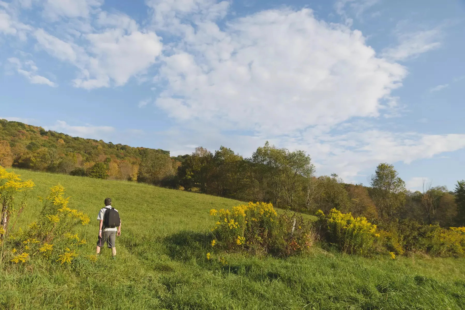 Mikemolands Betty Brook Farms