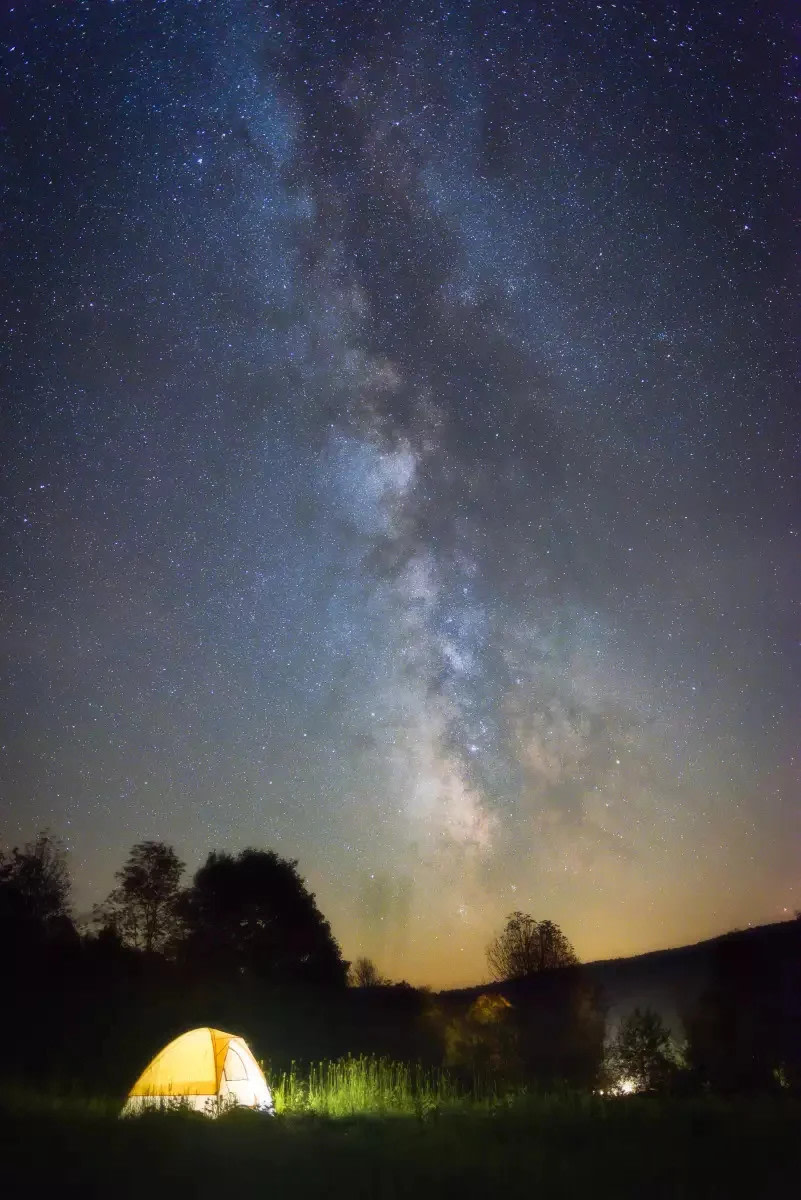 Mikemolands Betty Brook Farms