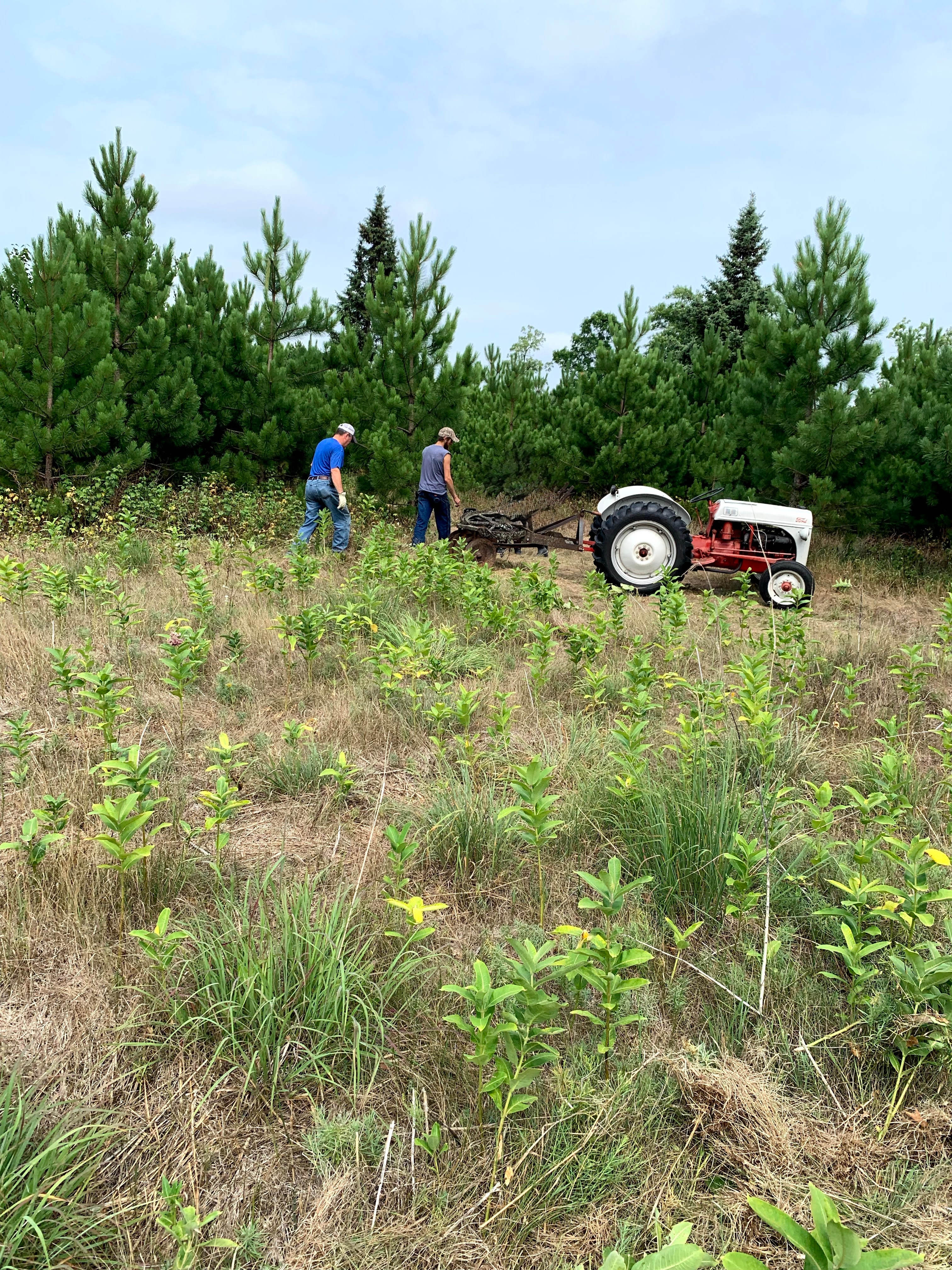 Fireside Among the Pines Retreat
