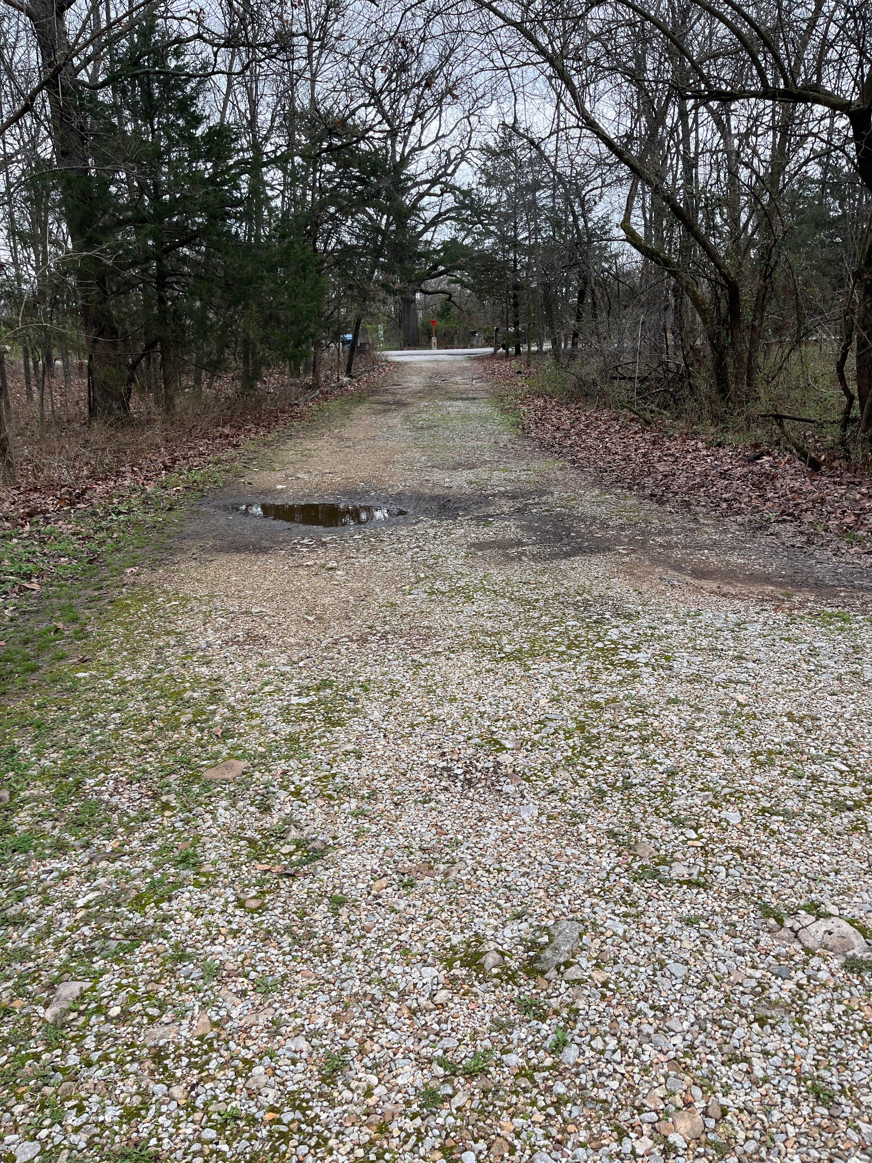 Ozzie and Daisy’s Chill and Stay