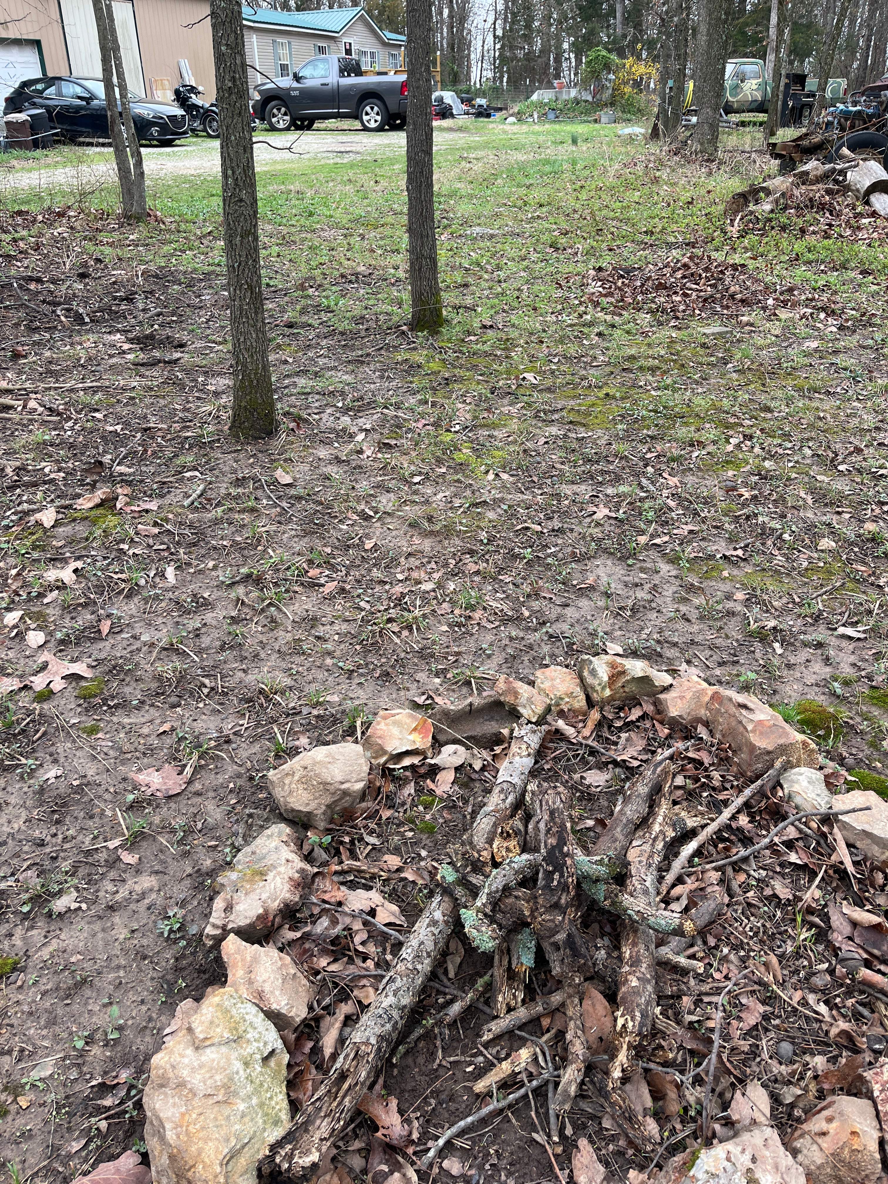 Ozzie and Daisy’s Chill and Stay