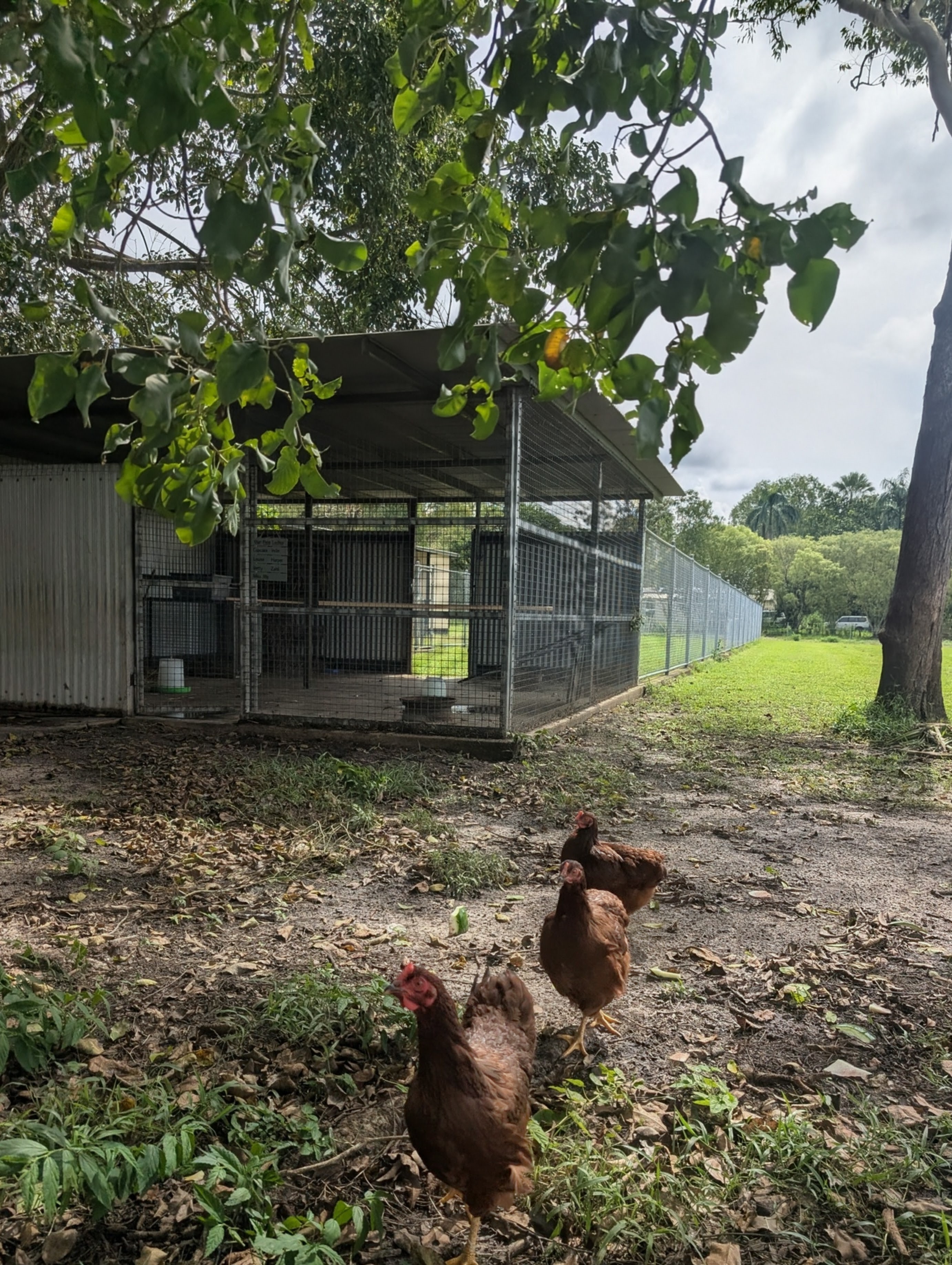 Pioneer Estate Farm Stay