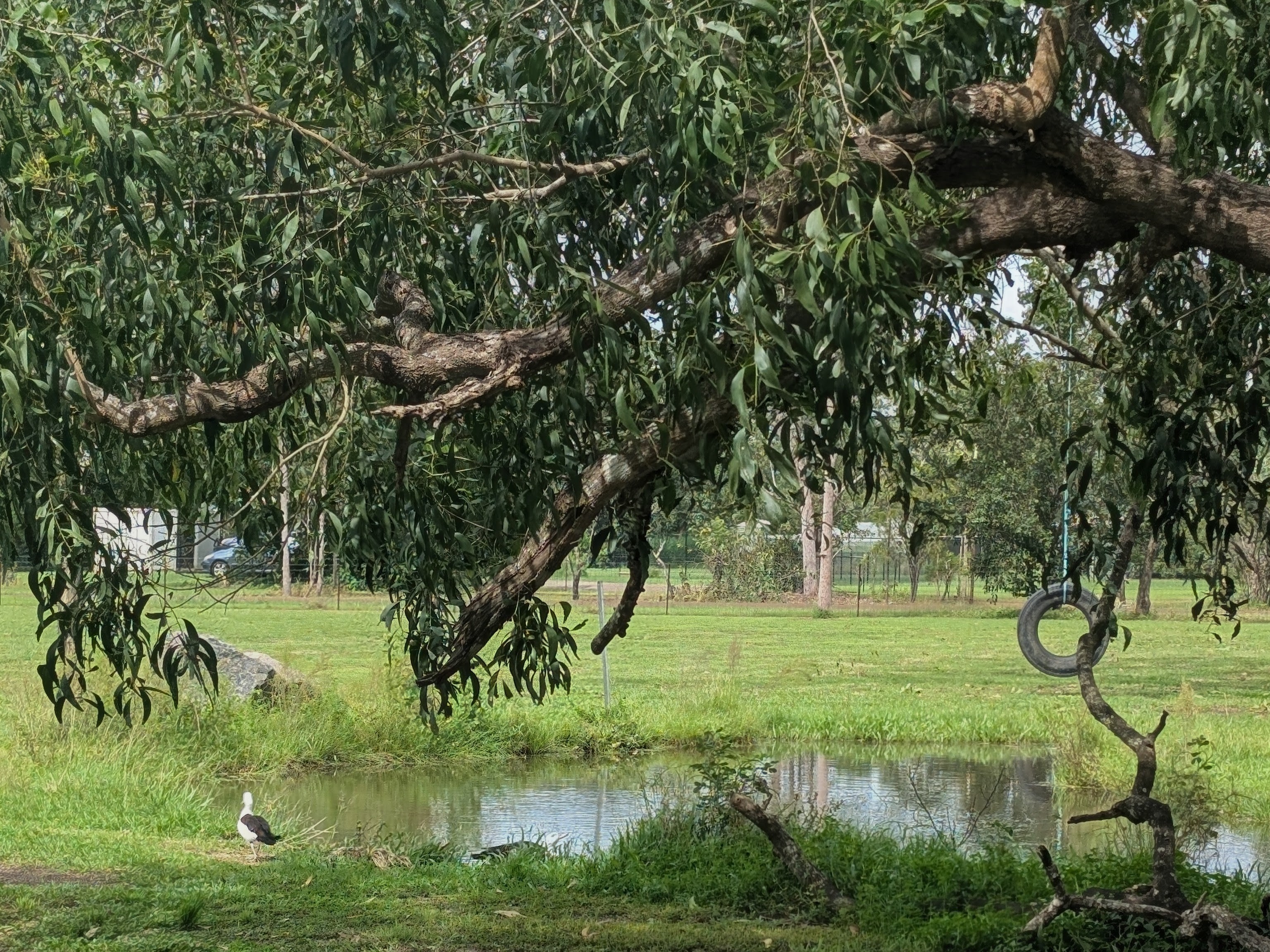 Pioneer Estate Farm Stay