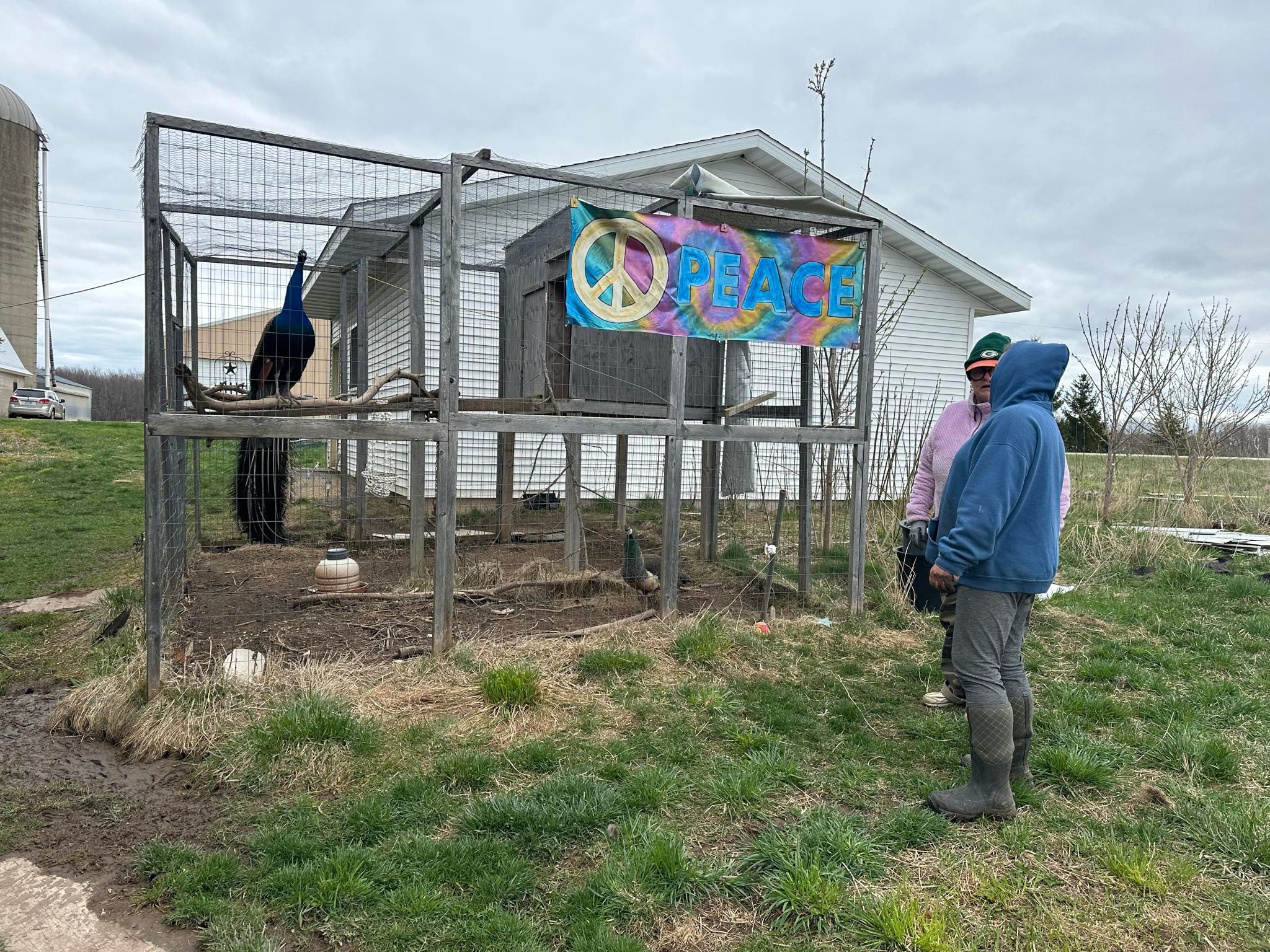 Microfarm Meadow Maze
