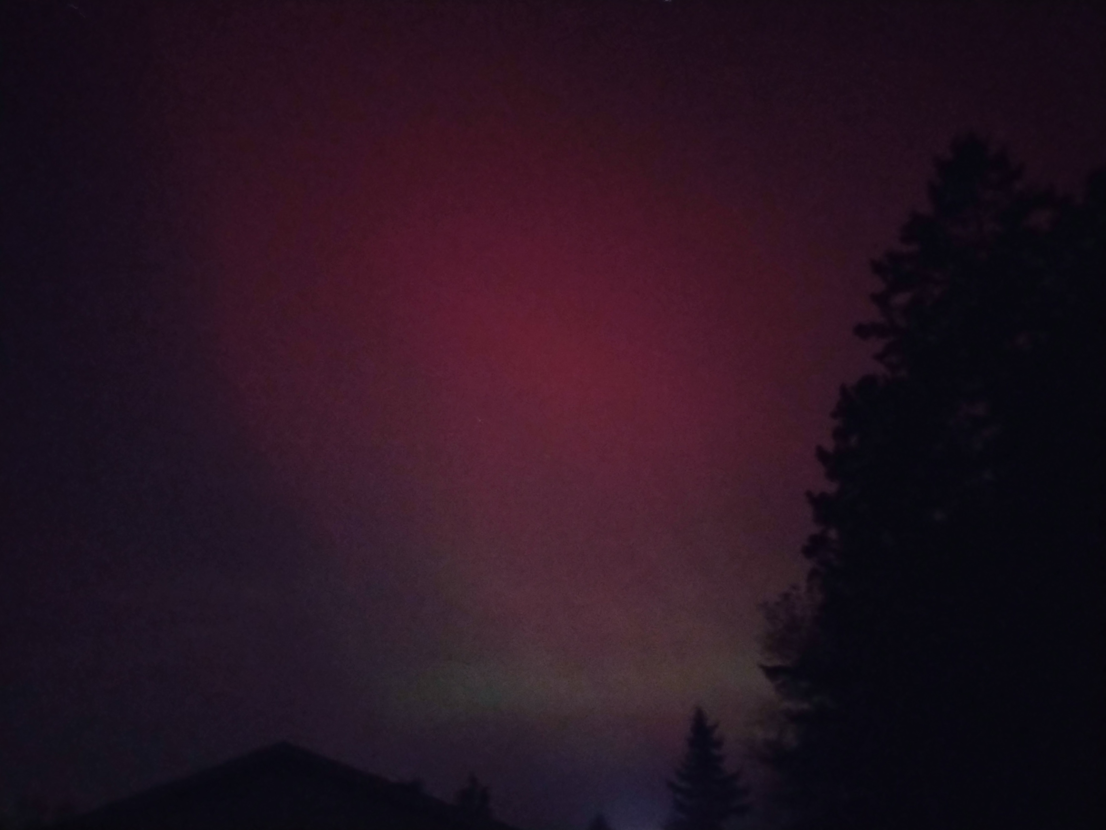 Microfarm Meadow Maze