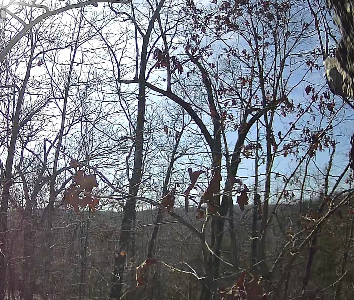 Two Roots Ridge  Private Ozark Camp