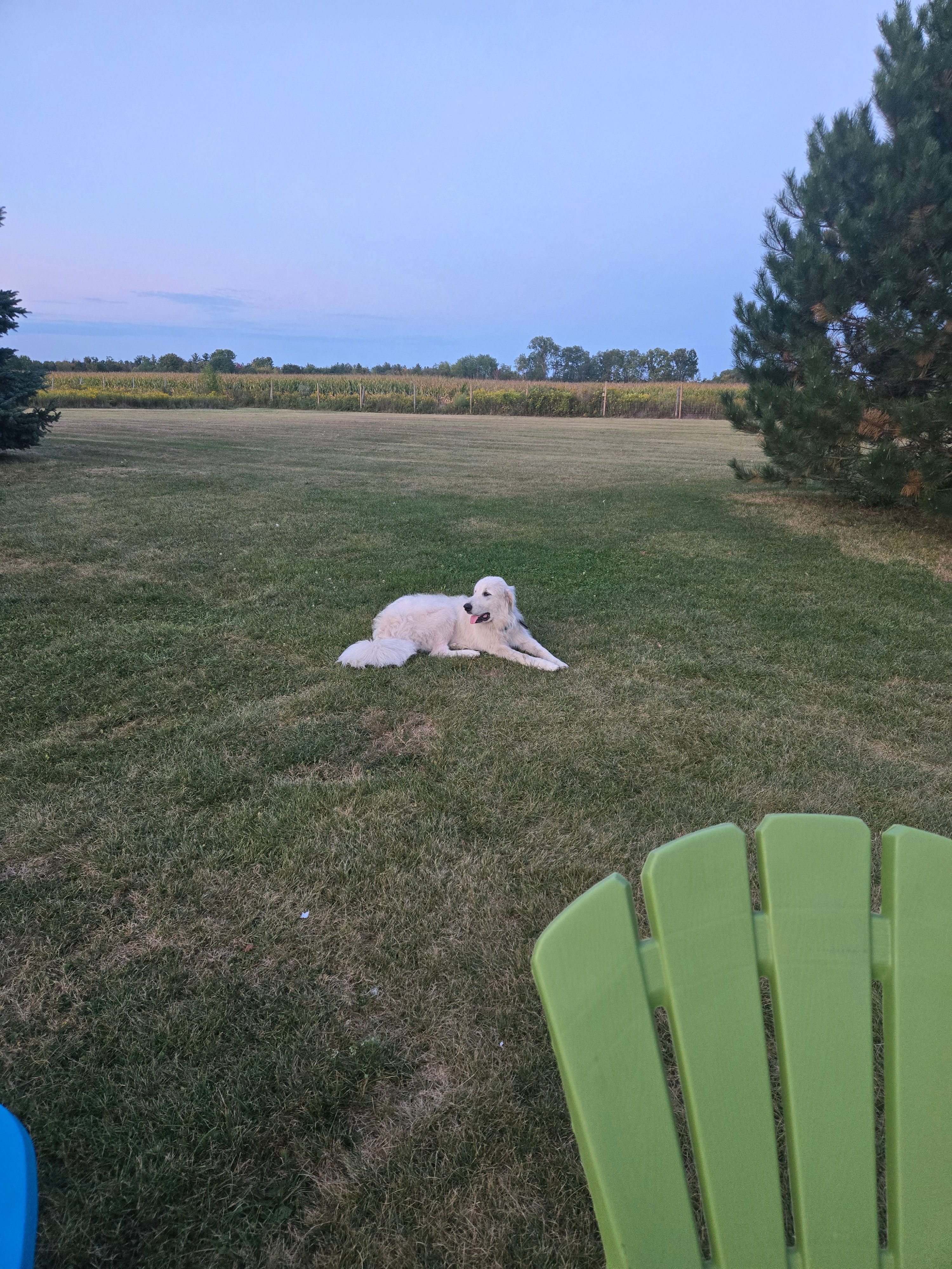 Wild Wind Sanctuary Camping