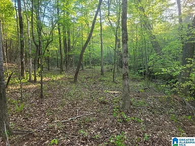 Out Beyond the Creek