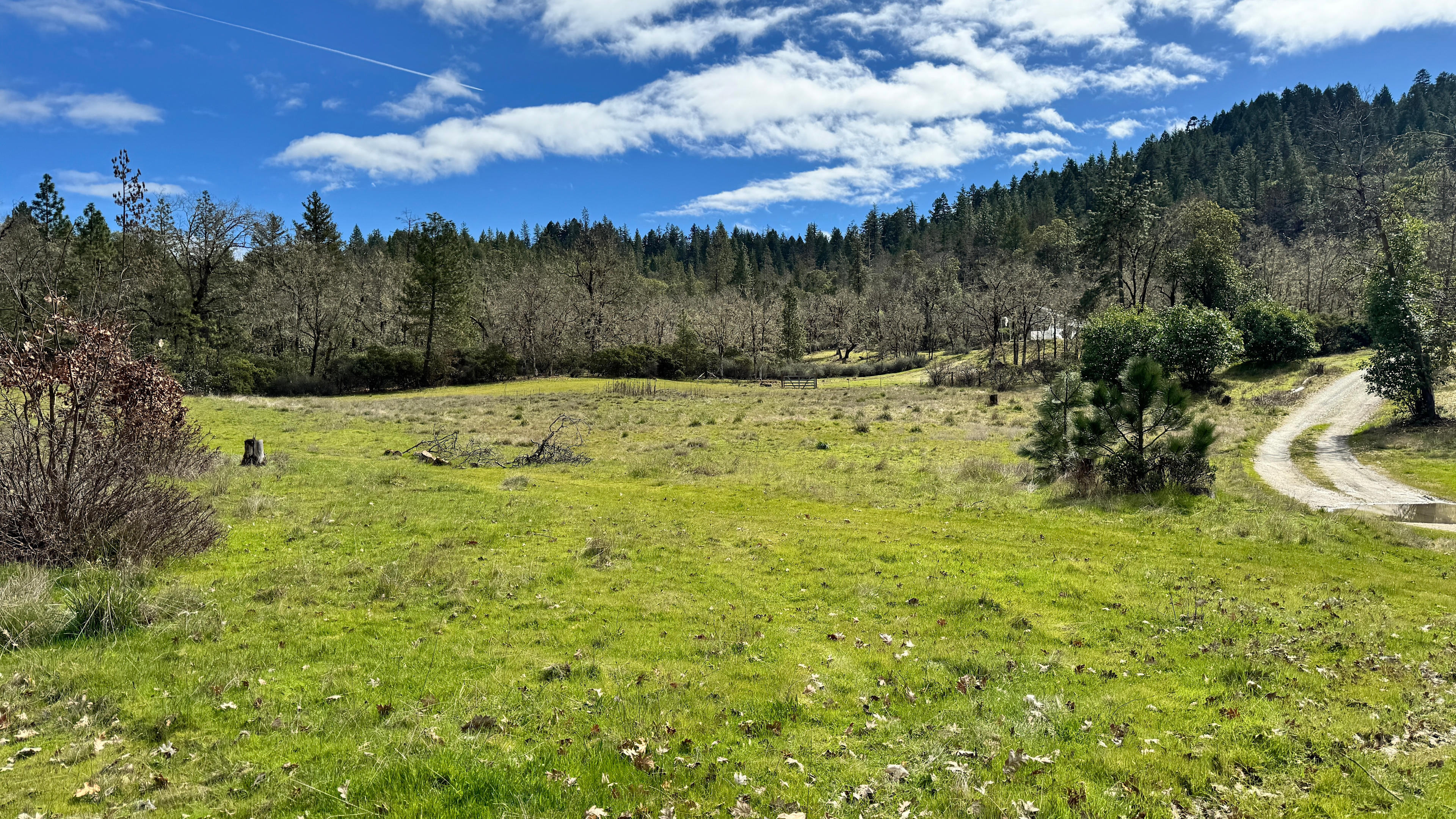 Rogue River Stargazing Basecamp