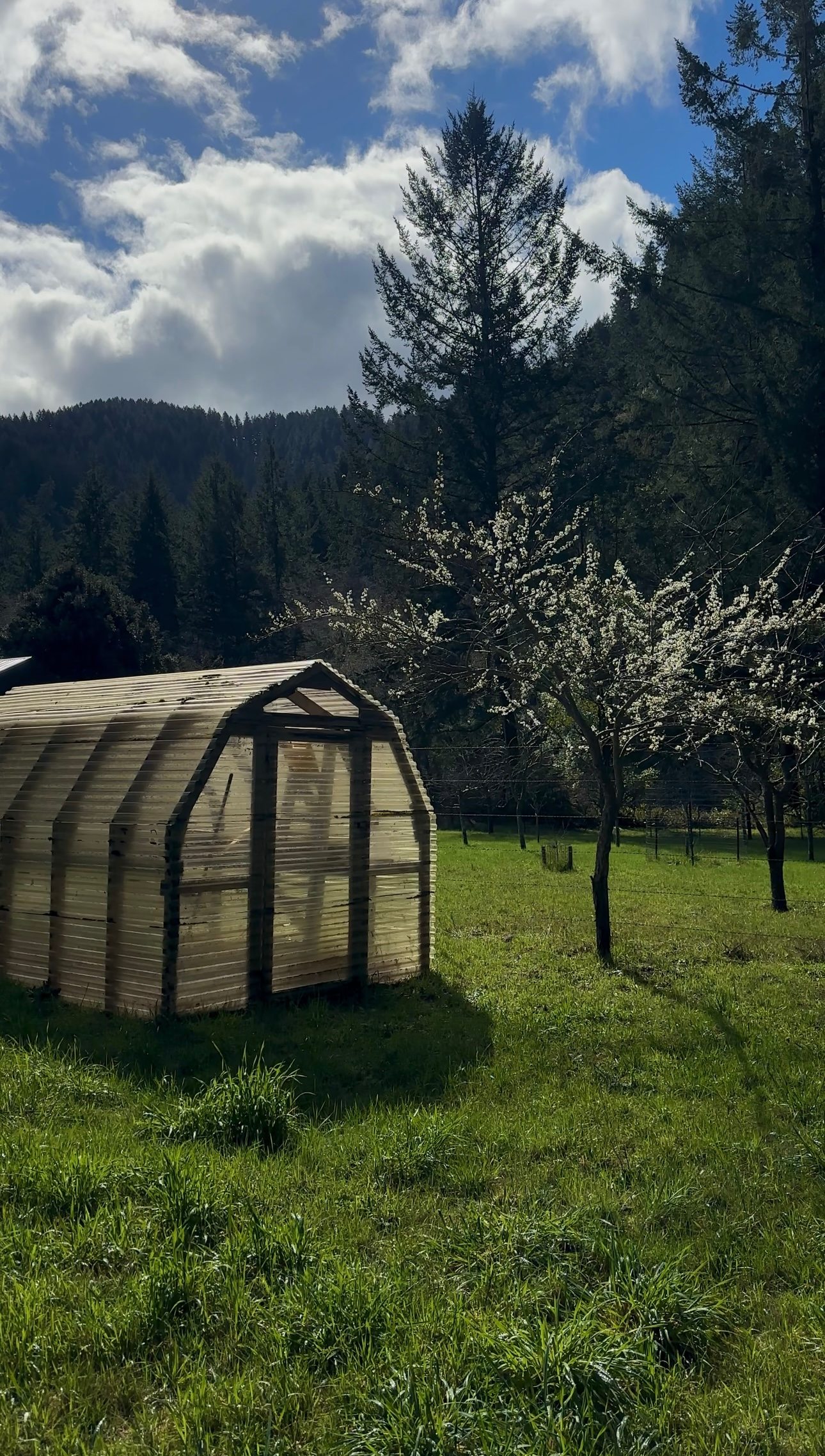 Secluded Riverfront Winchuck Camp