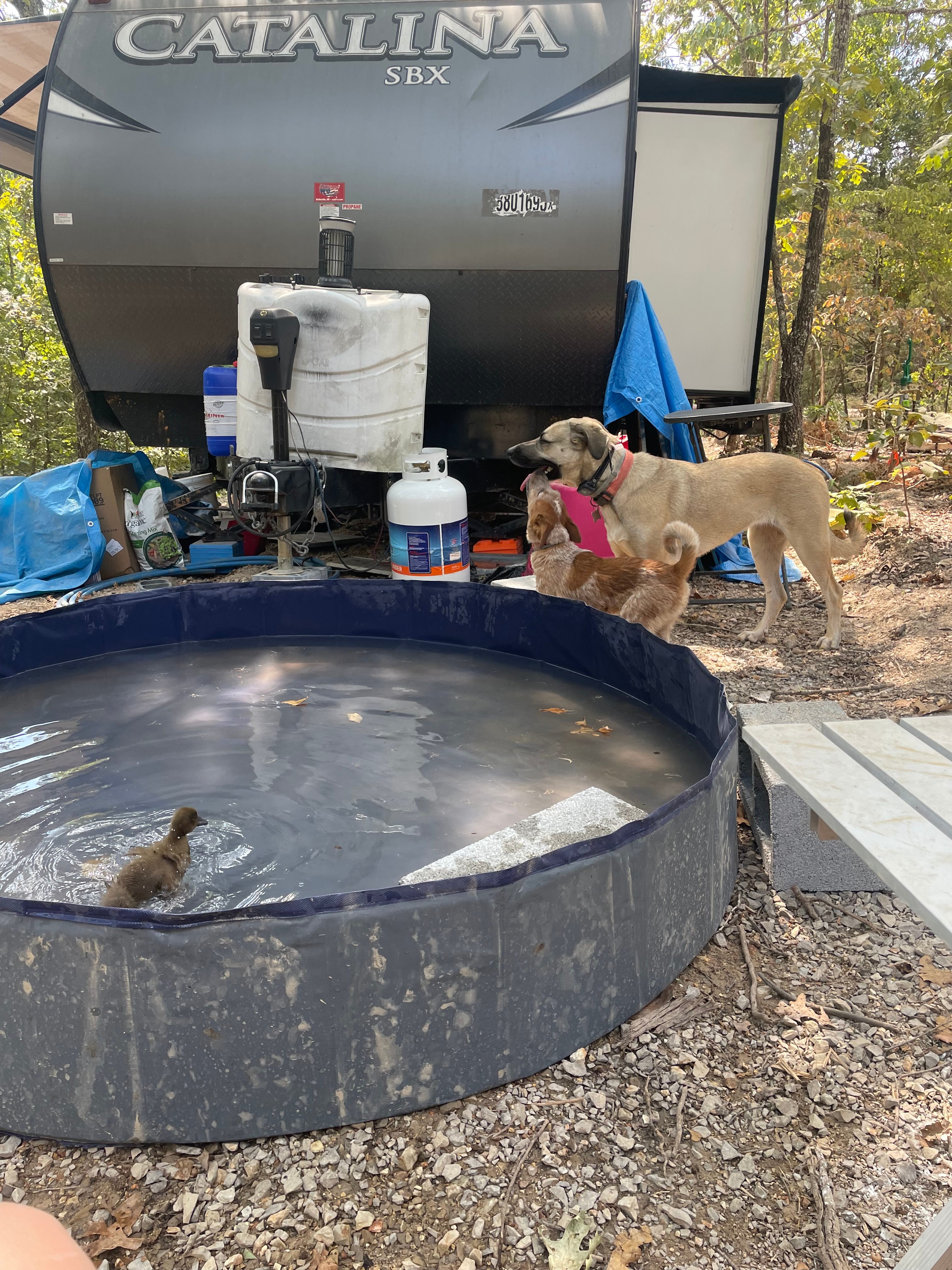 Two Roots Ridge  Private Ozark Camp