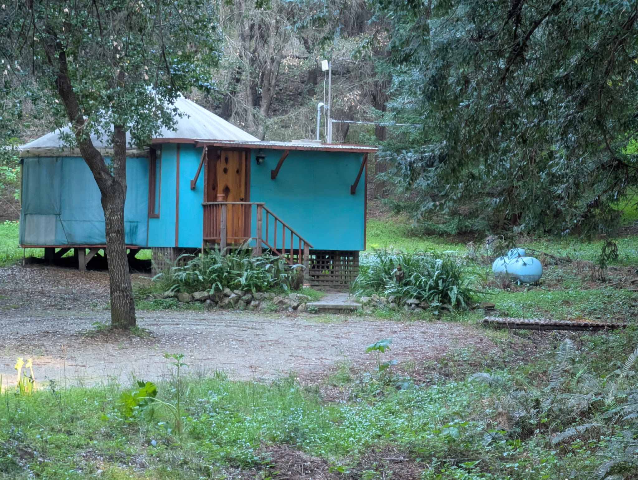 Yurt In The Redwoods