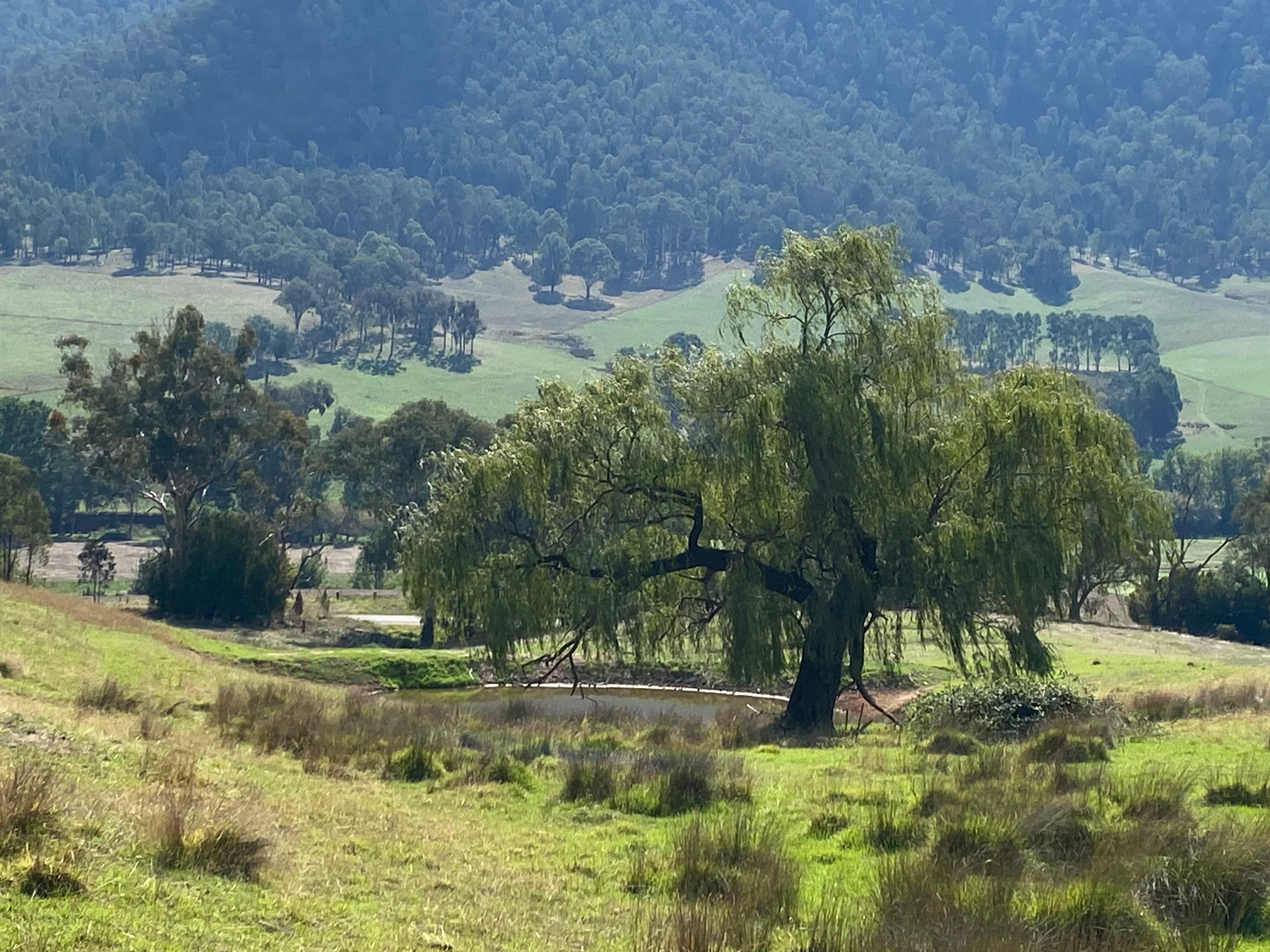 Wirreanda Park, Kancoona