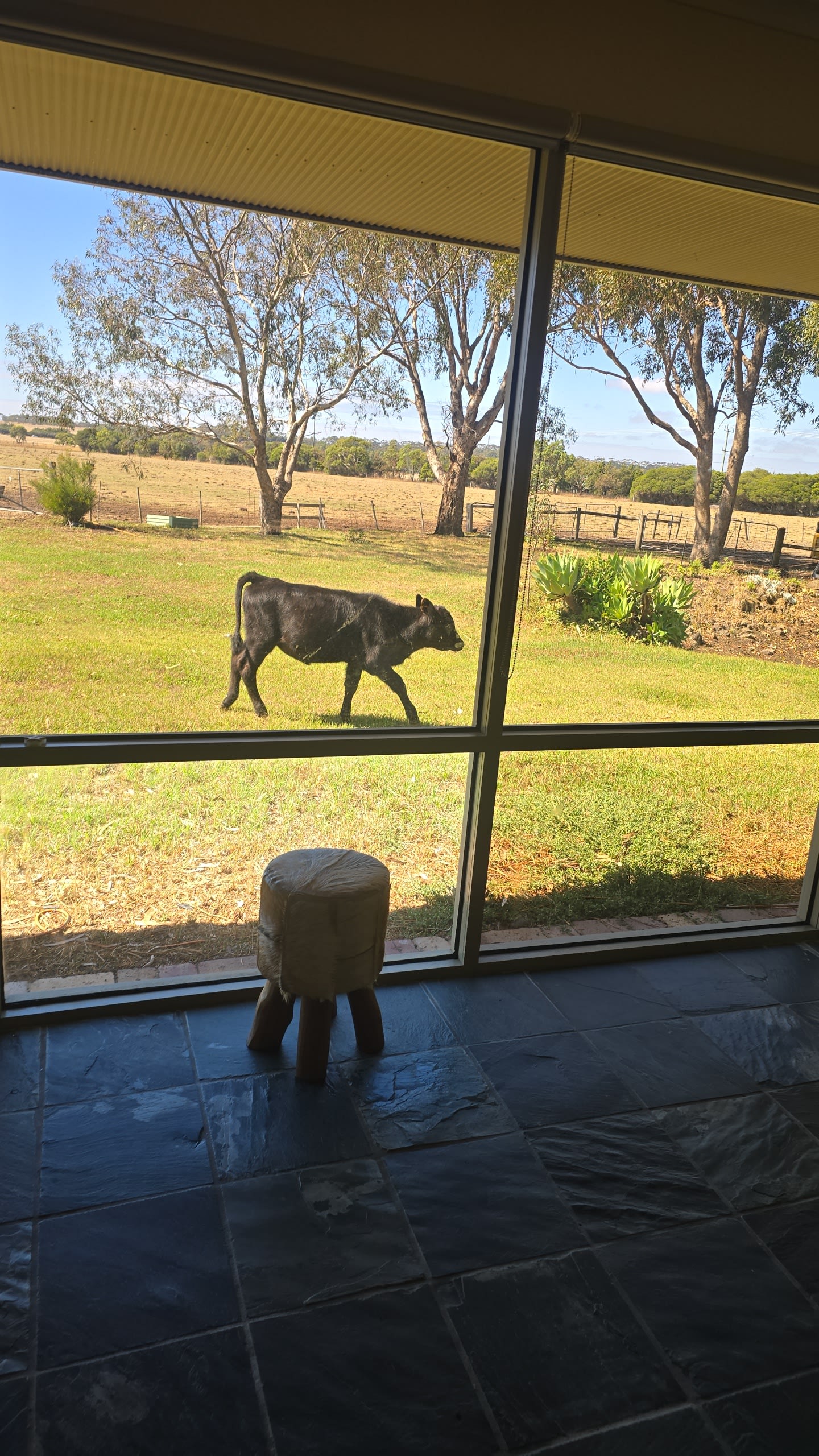 FreshwaterCreek farm stay