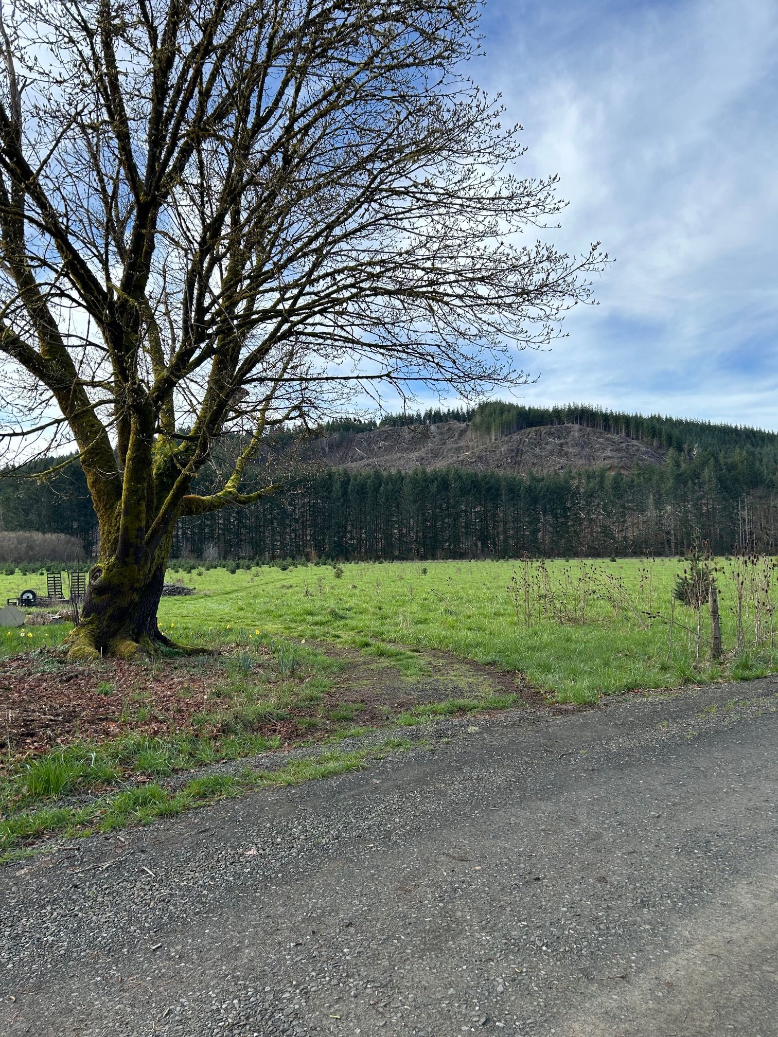 Tom's Alsea River Camp
