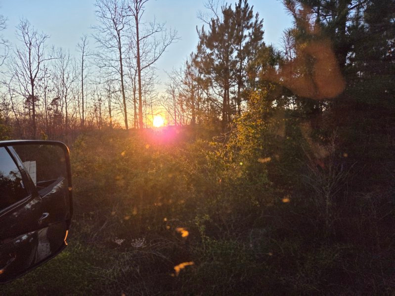 Ozark Ridge Spike Camps