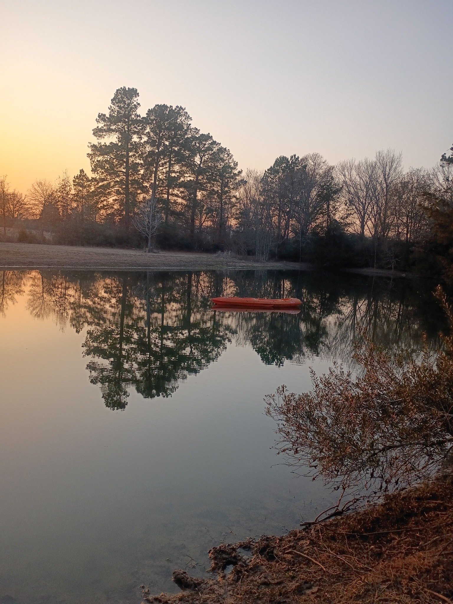 🌲🎣 THE OASIS – Fishing & Camping