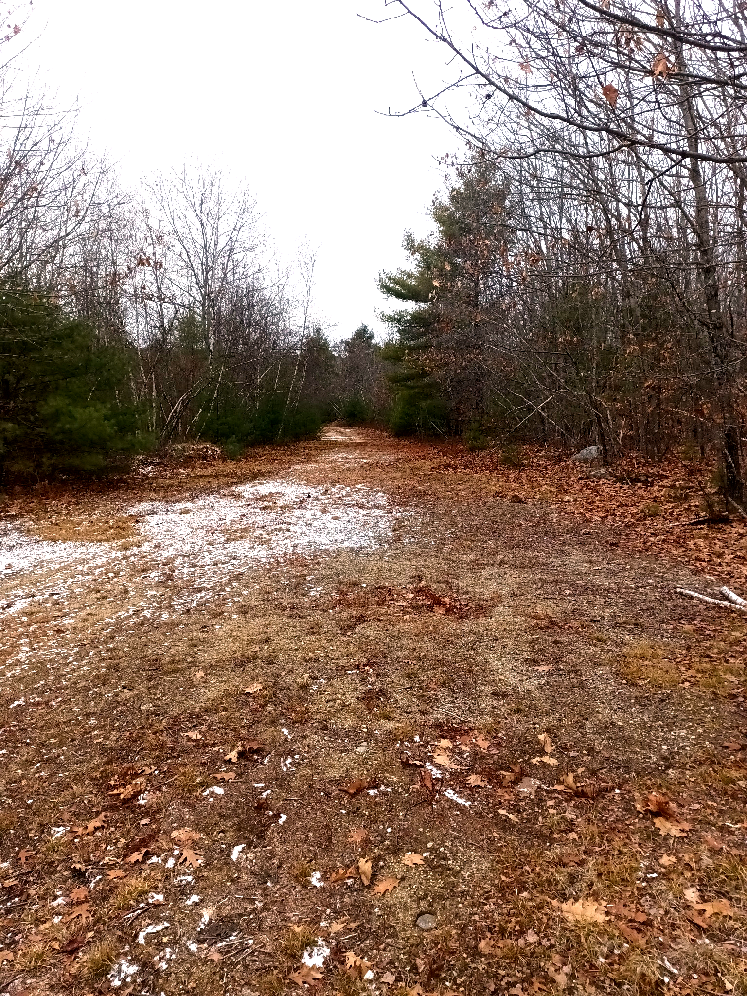 Conant Farm Retreat