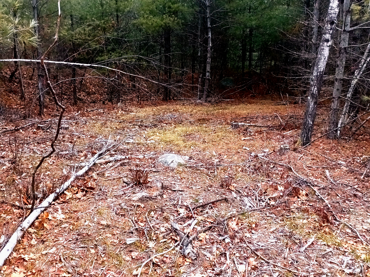 Conant Farm Retreat on Conant Brook