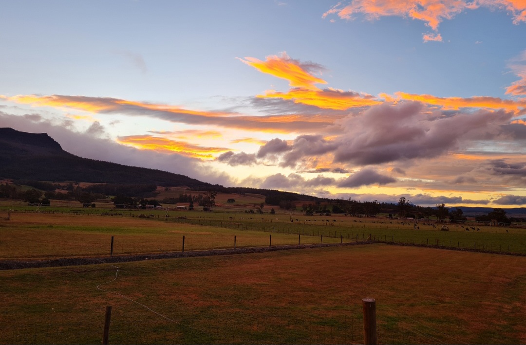 D. B. Thompson Estate