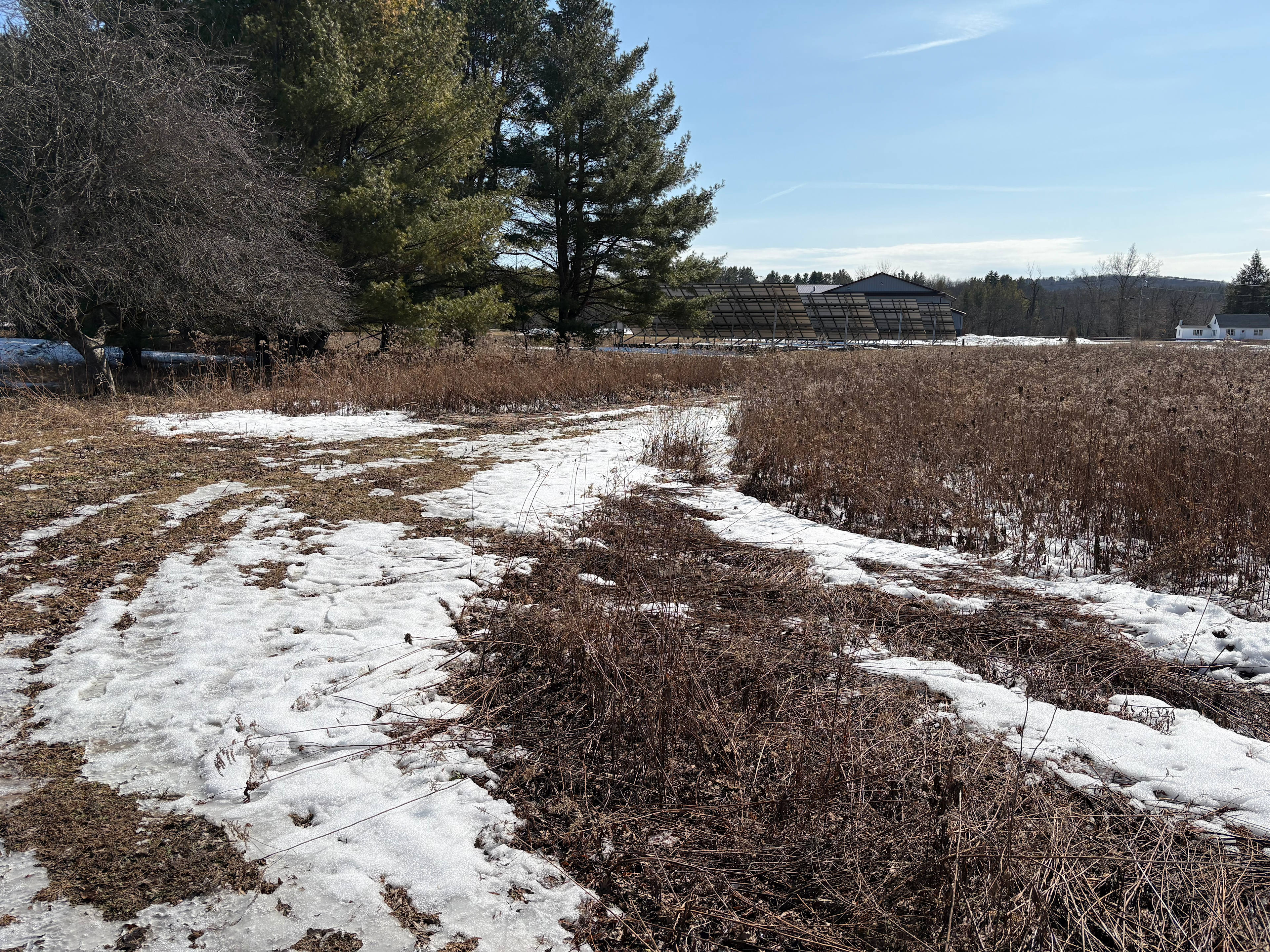 Camp near Saratoga Lake