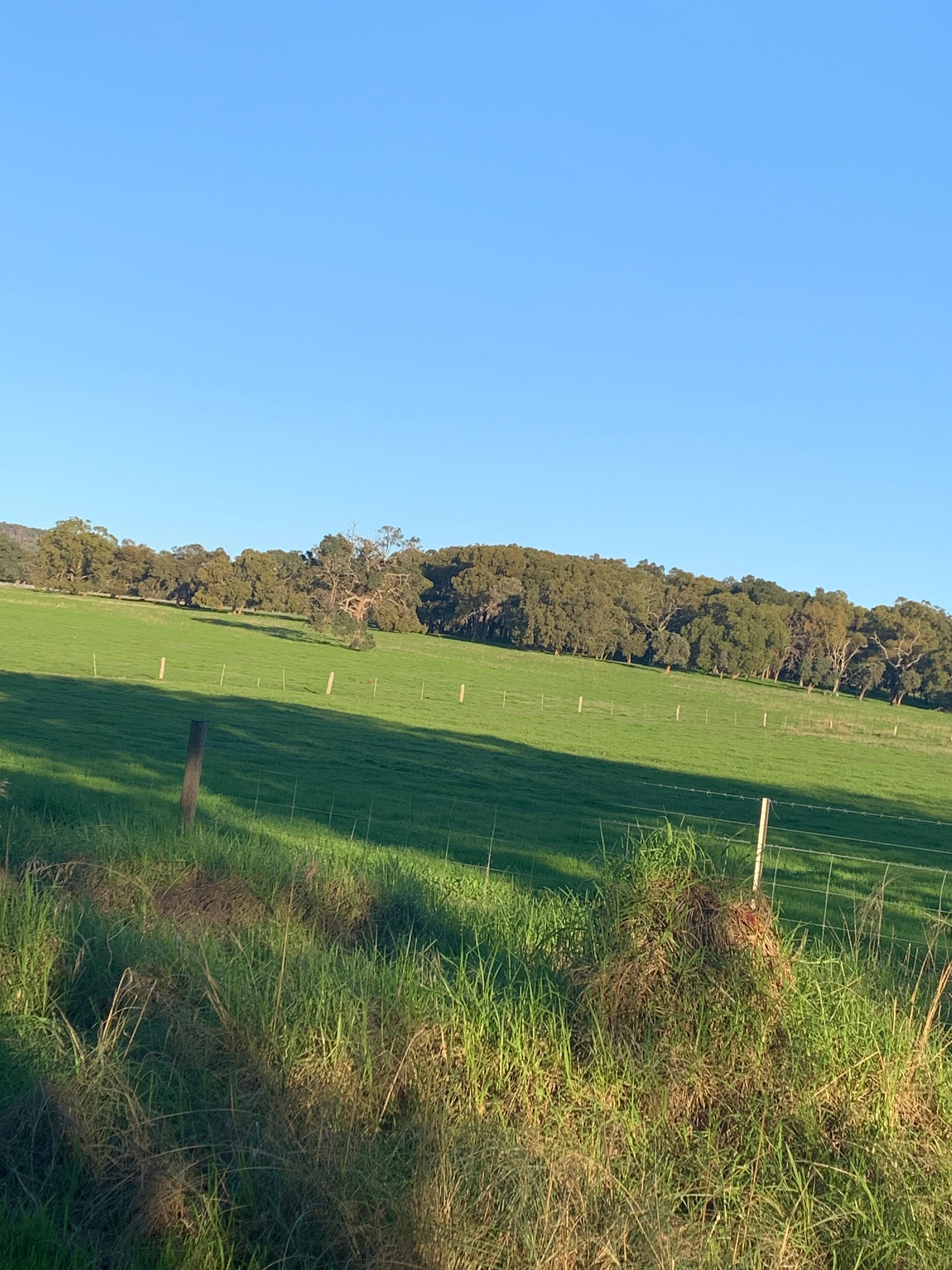 Cooper Day Estate Campground