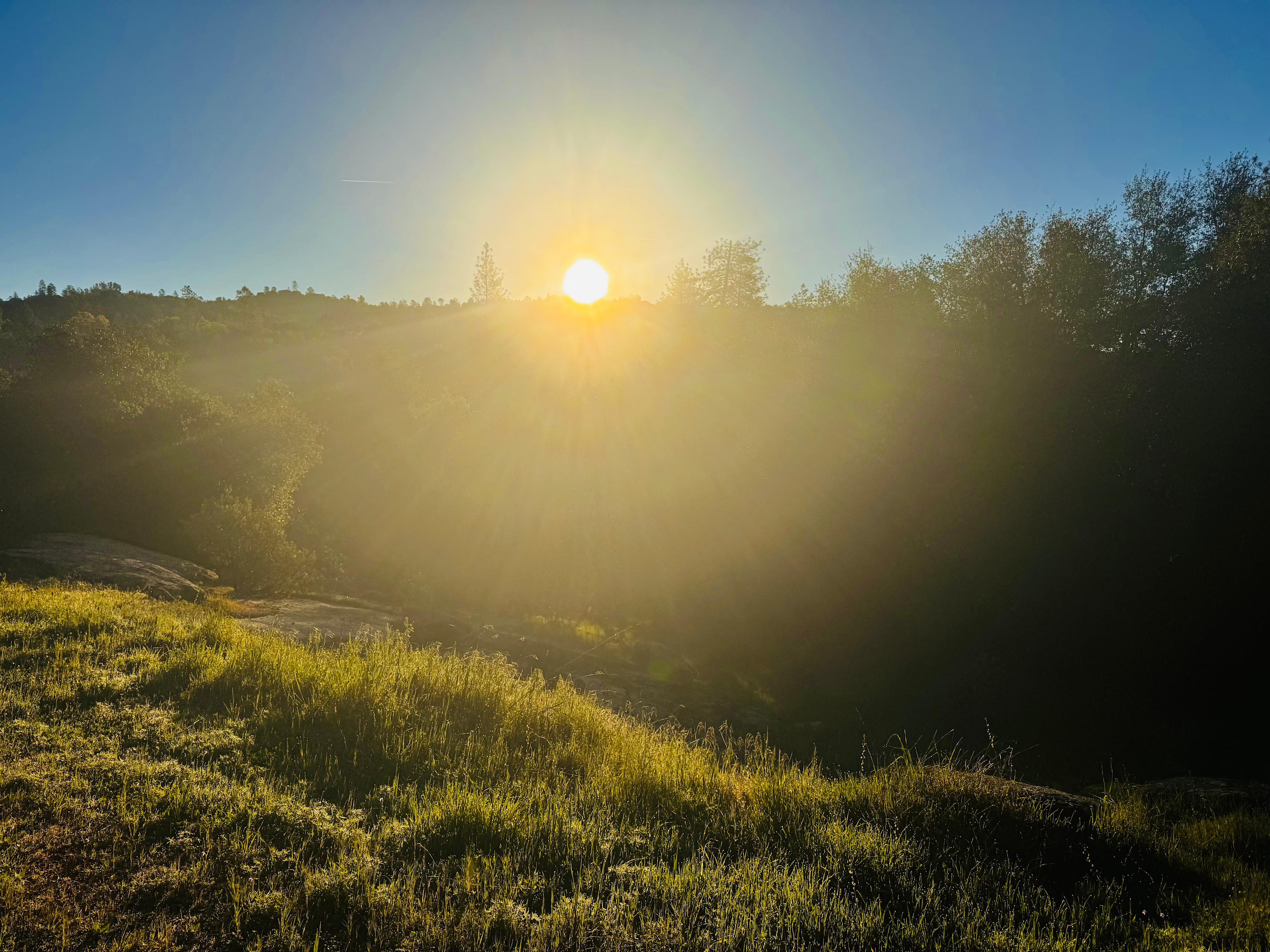 Swimming + Stargazing Near Yosemite