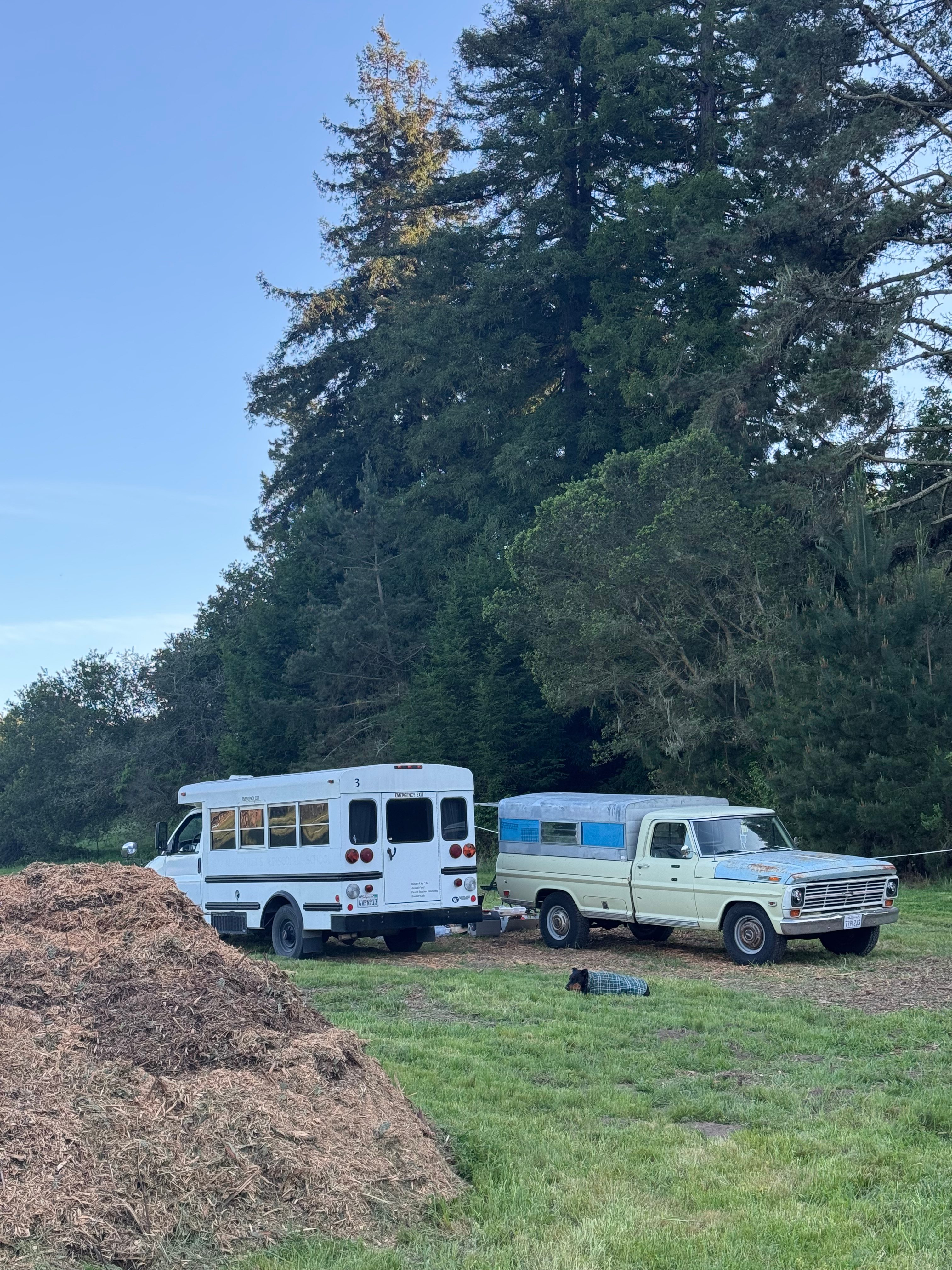 Country + Redwoods - Near beach!