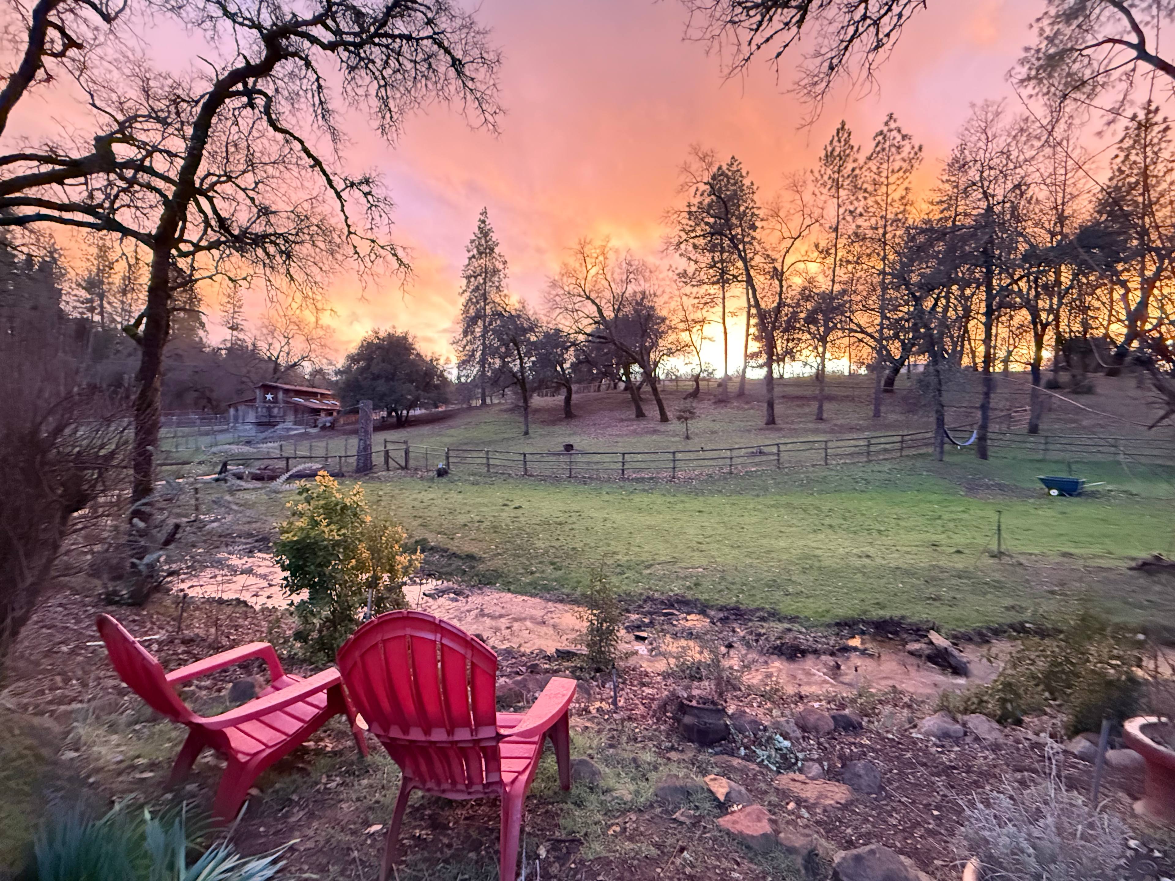 Salty Dog Ranch Glamping