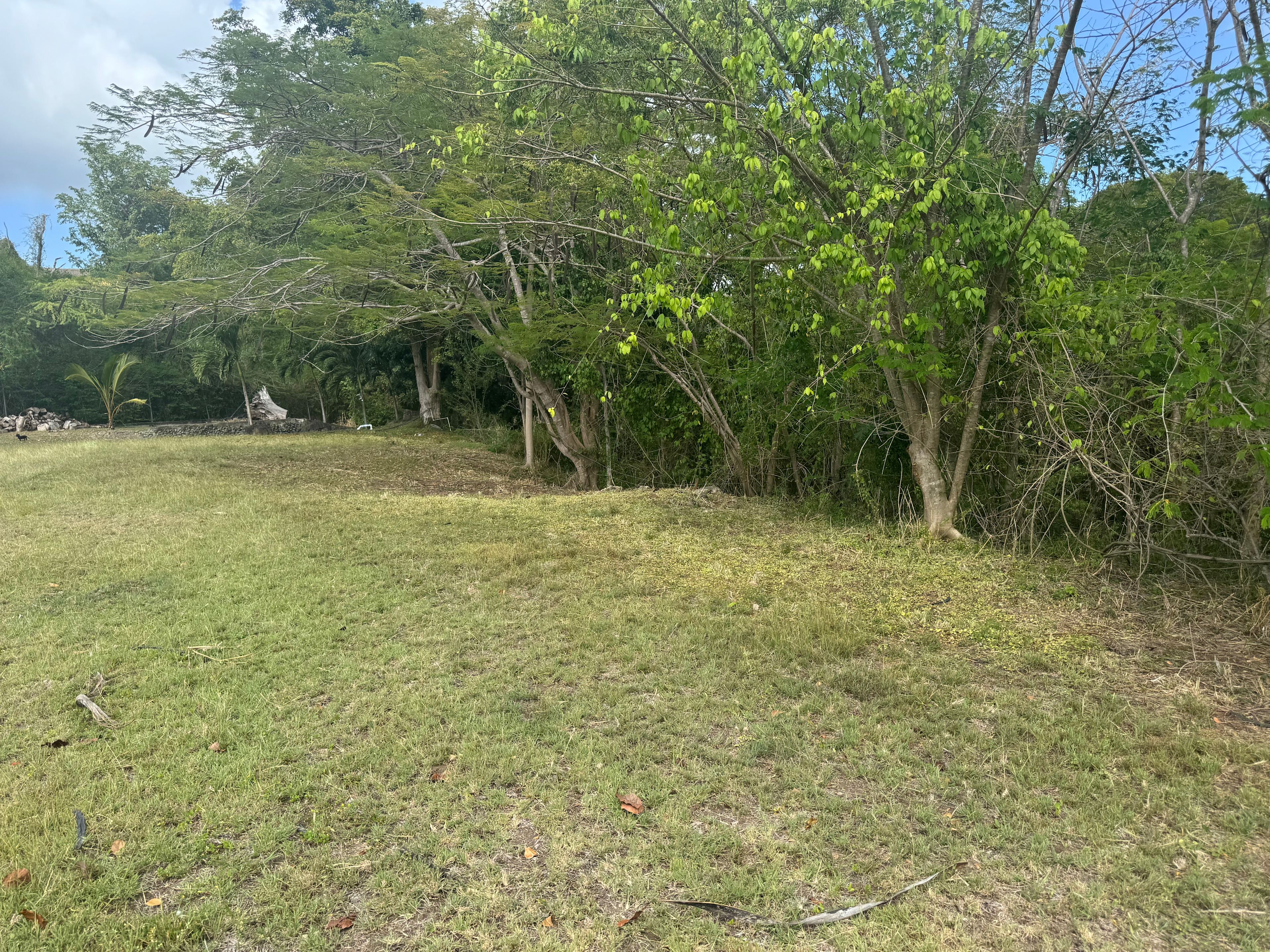 BonHeim Finca
