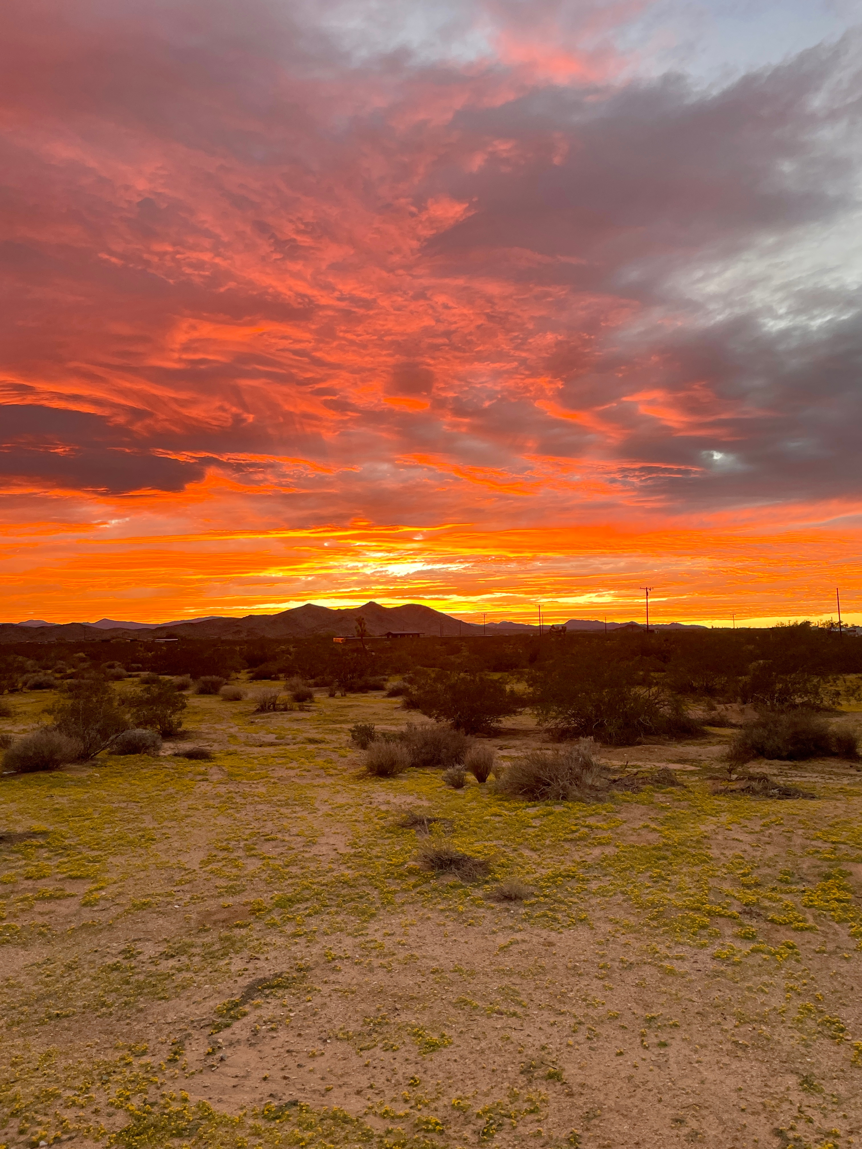 Cielito on Sunny Vista