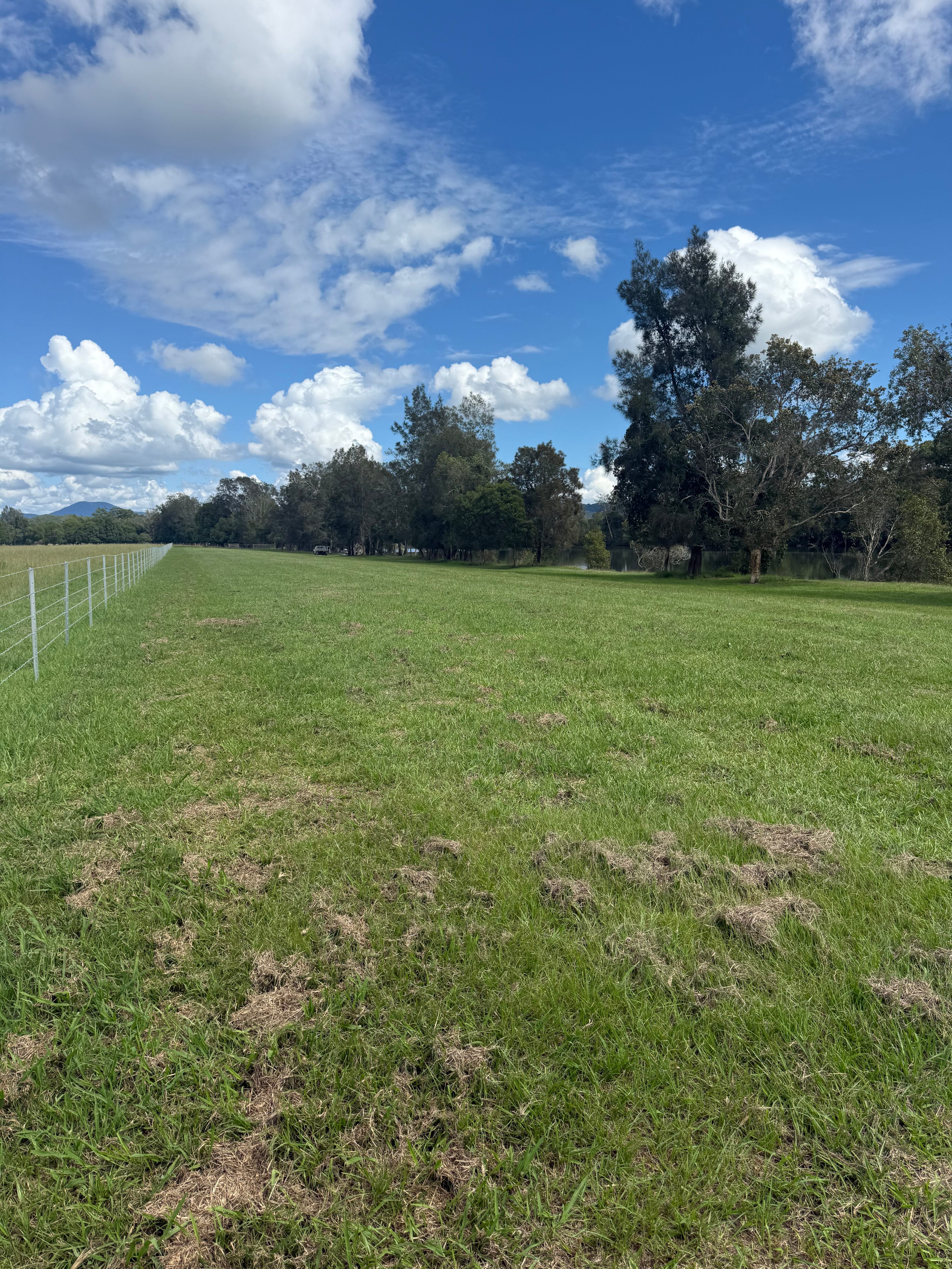 The Farm-Urunga riverfront camp 🏕️