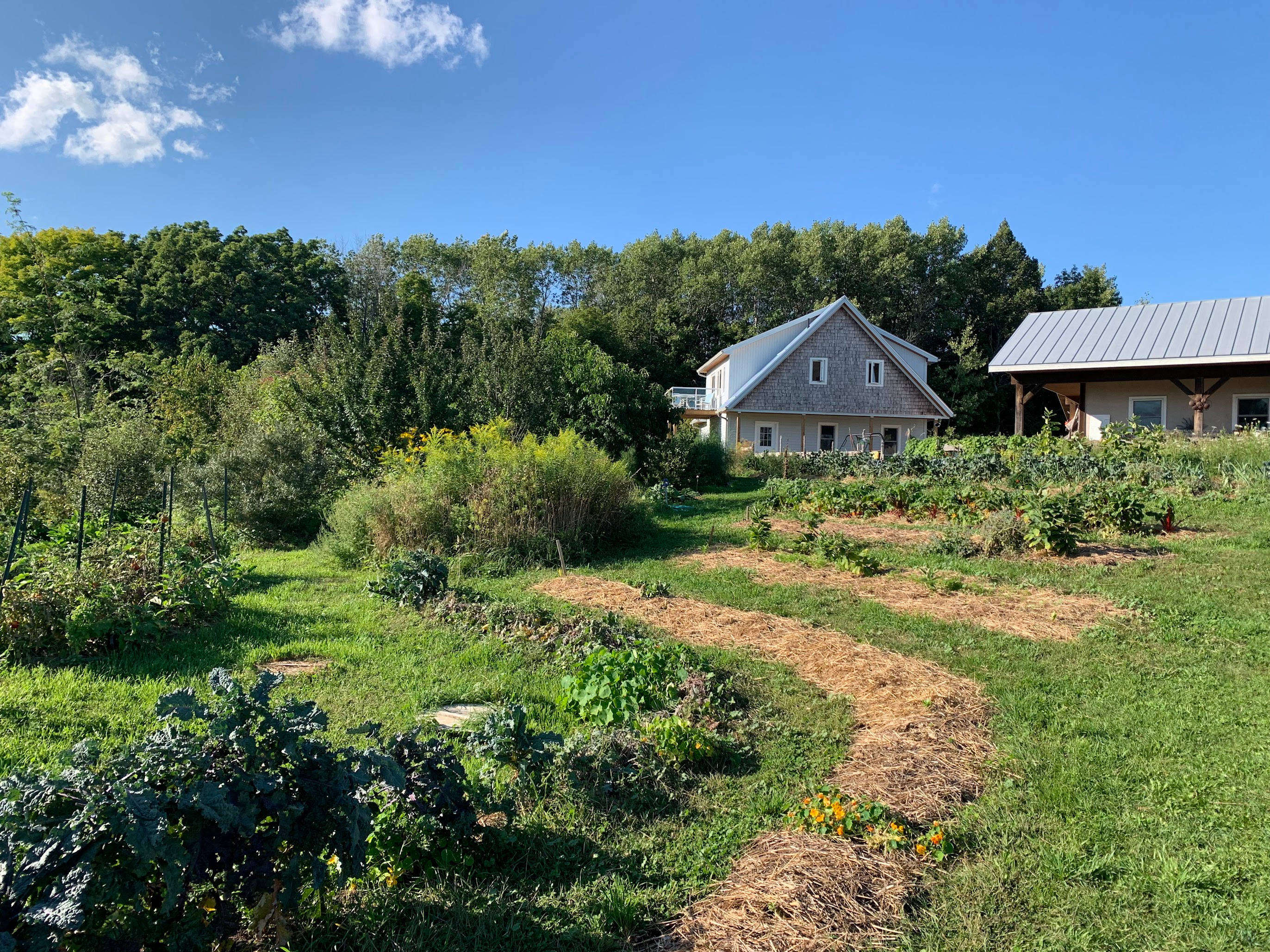 View of 2nd floor apartment and deck from vegetable garden and orchard
