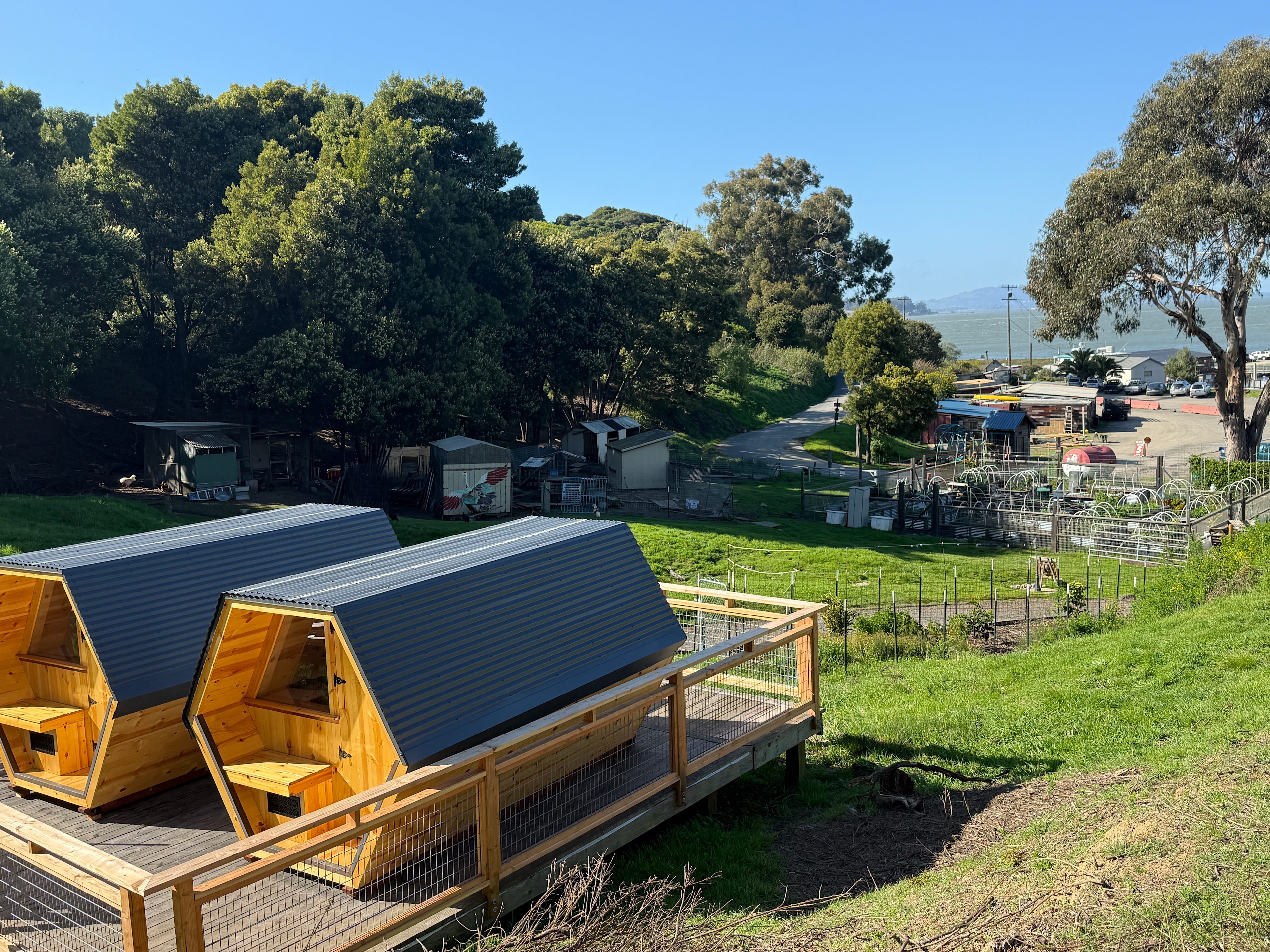 Point San Pablo Harbor