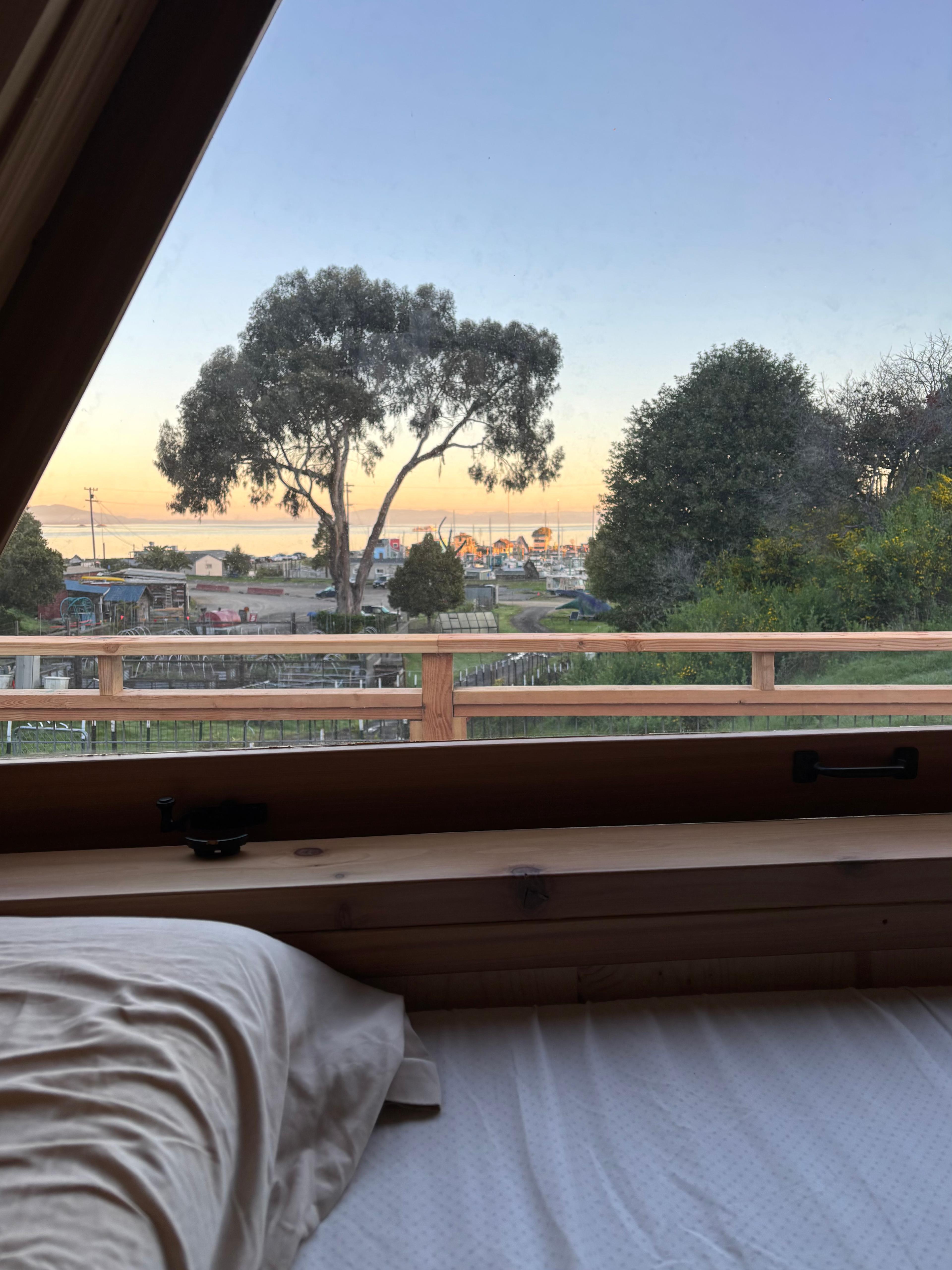 View through the picture window at dawn. 