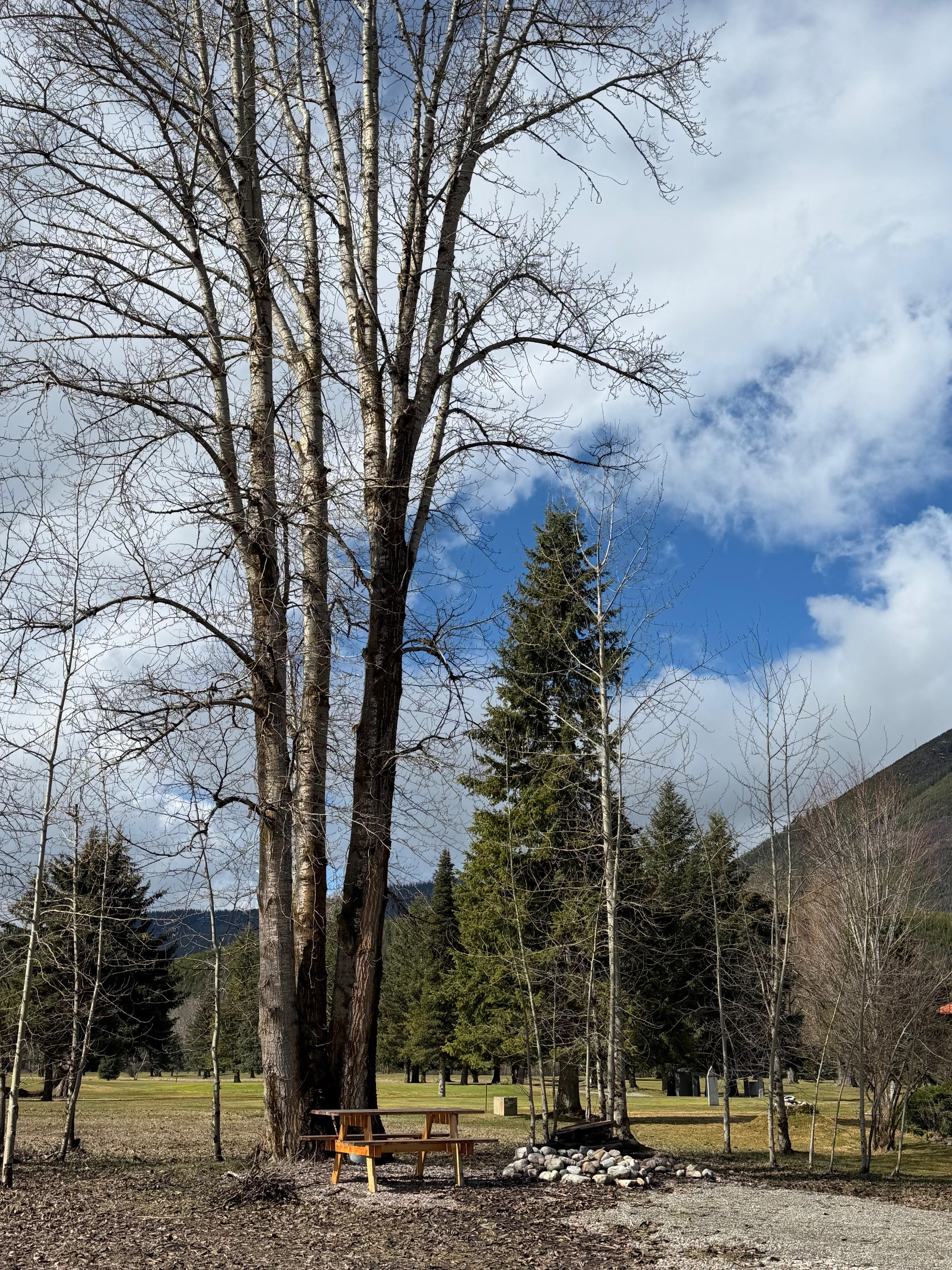 Private Camp Site with picnic table and fire ring