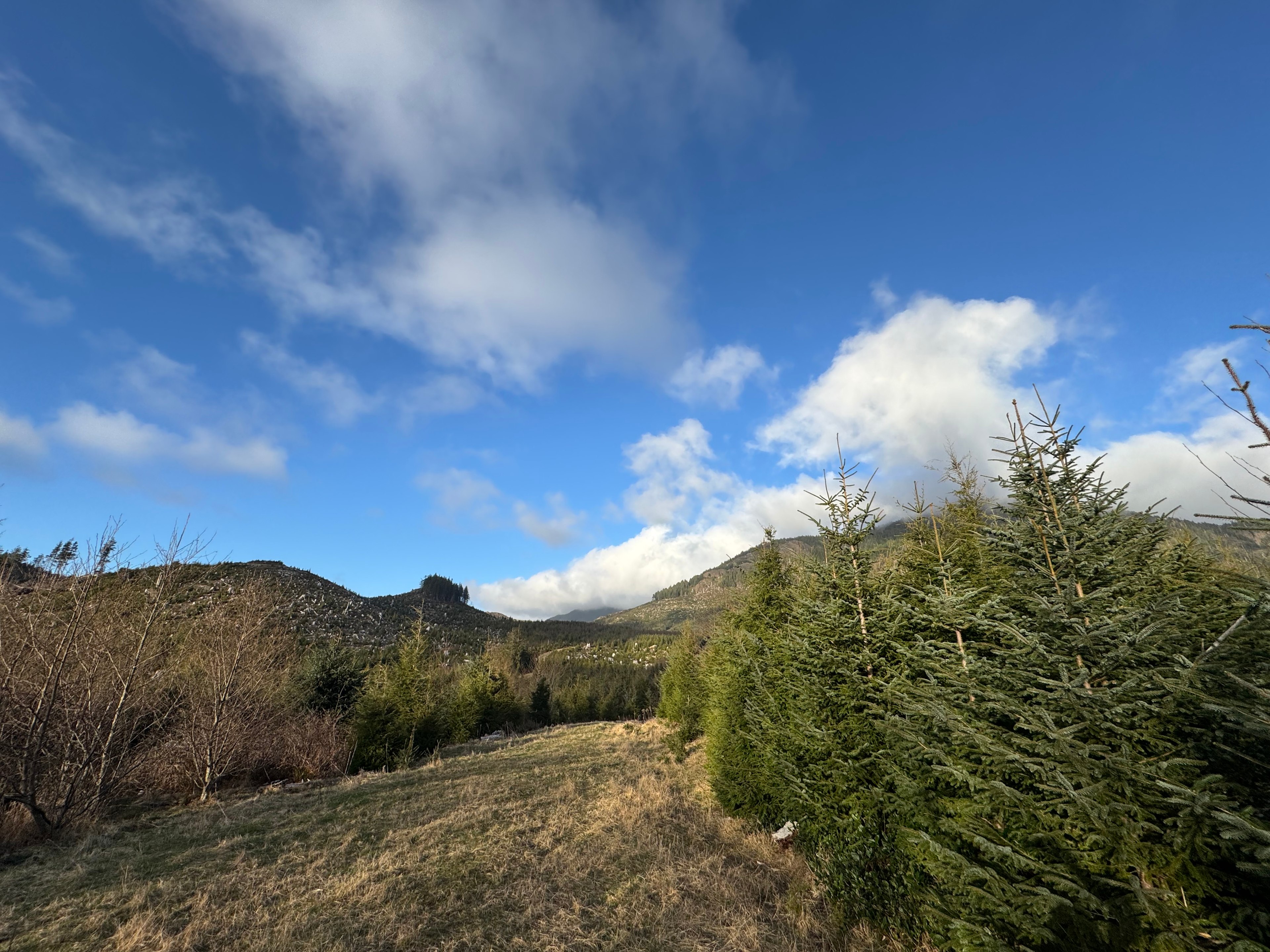 Timber Ridge Ranch @ Falcon Cove
