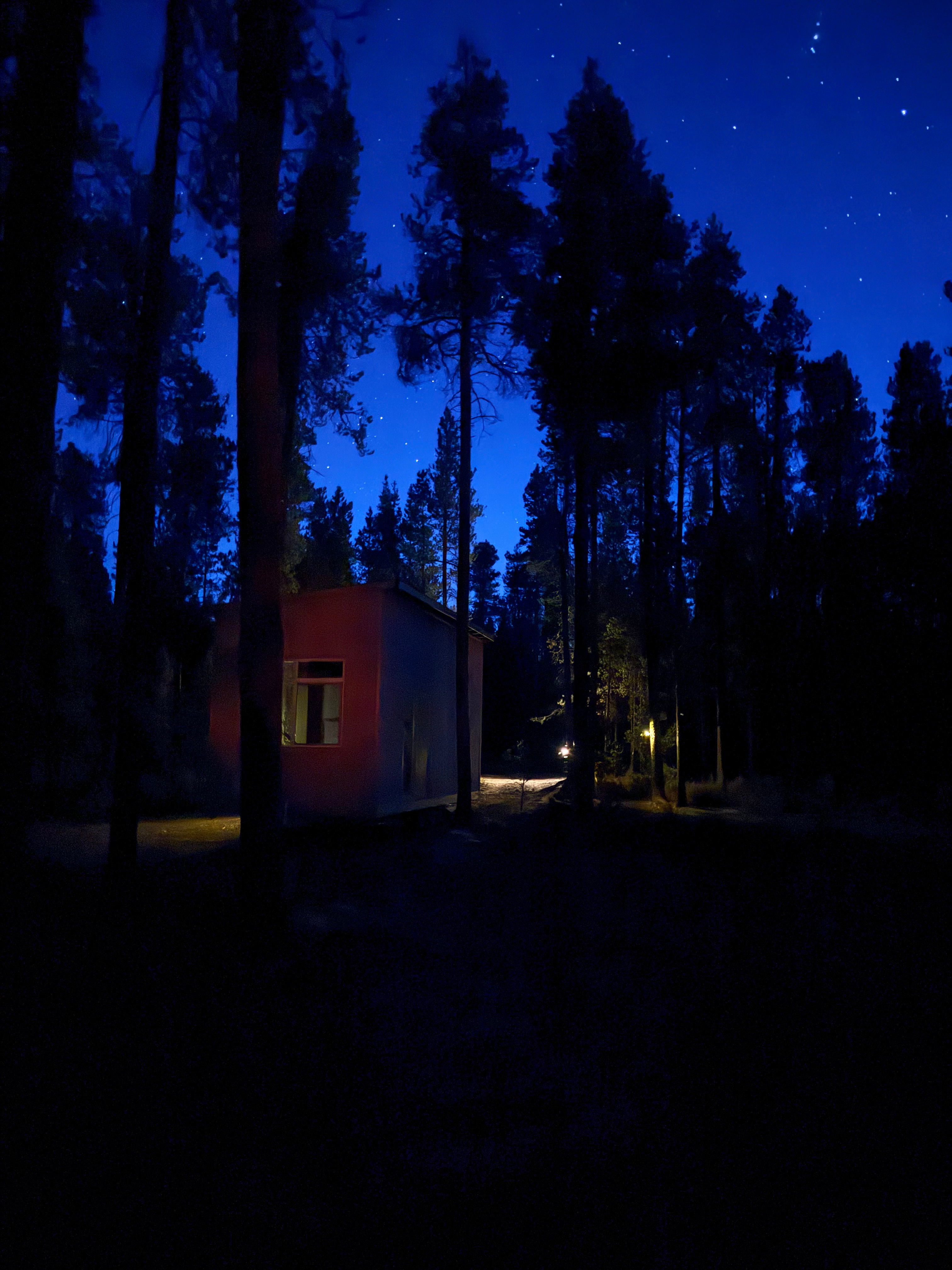 The Pines at Mount Scott