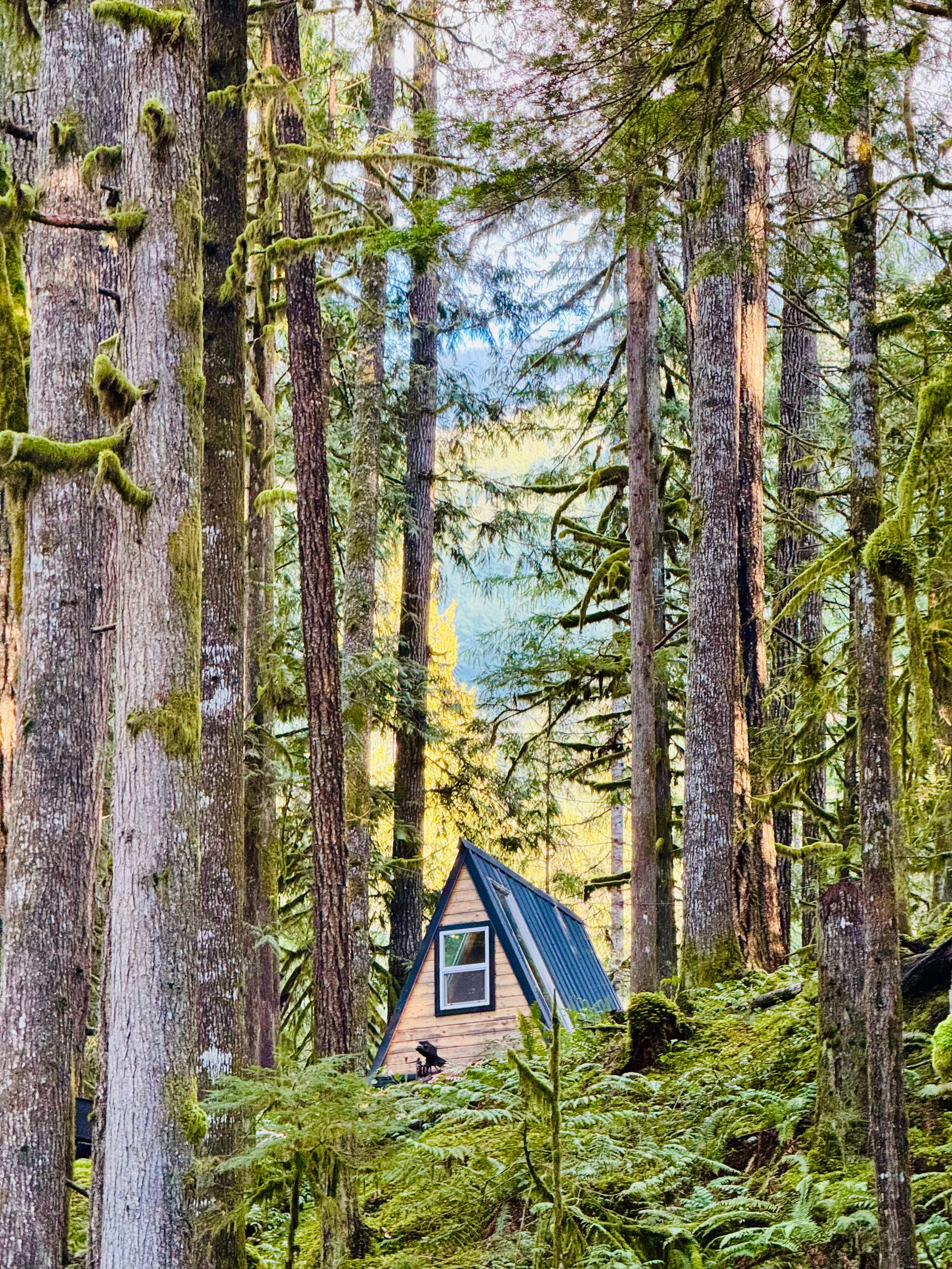 The Little A-frame