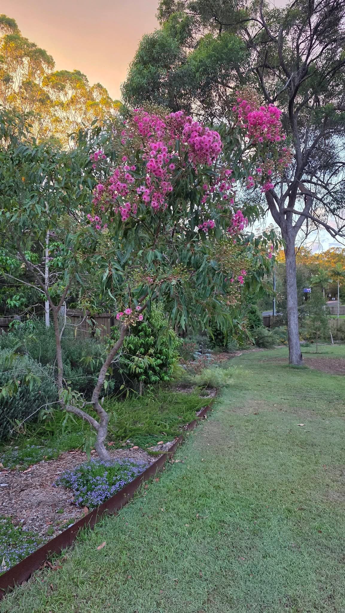 The Wellness Acre- Banksii Farmlet
