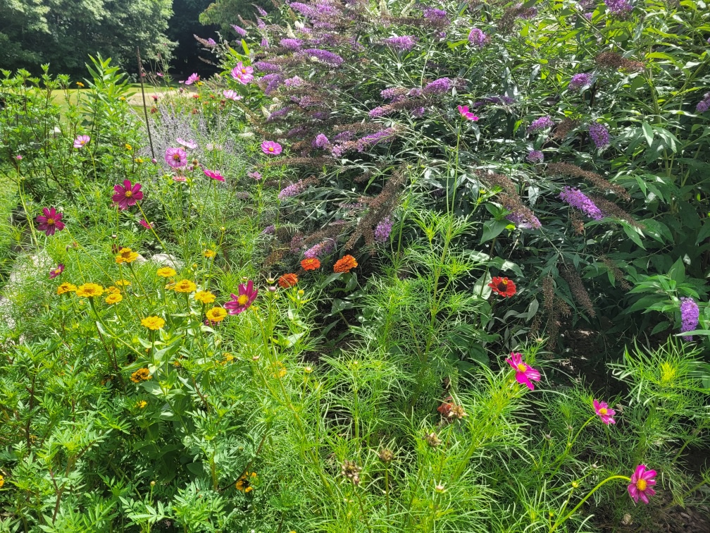 Lala's Boutique Farm