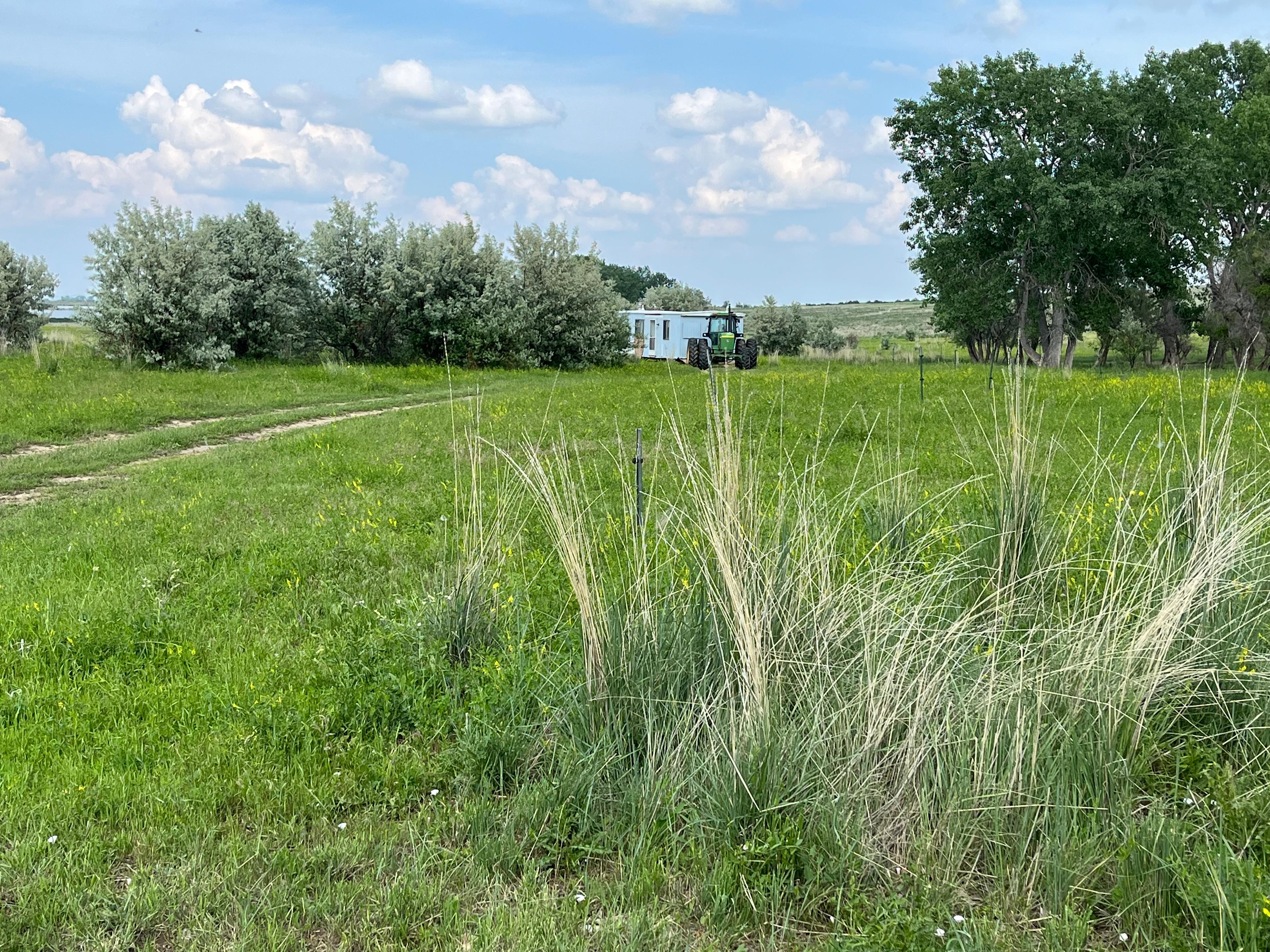 Scout Troops / church camps