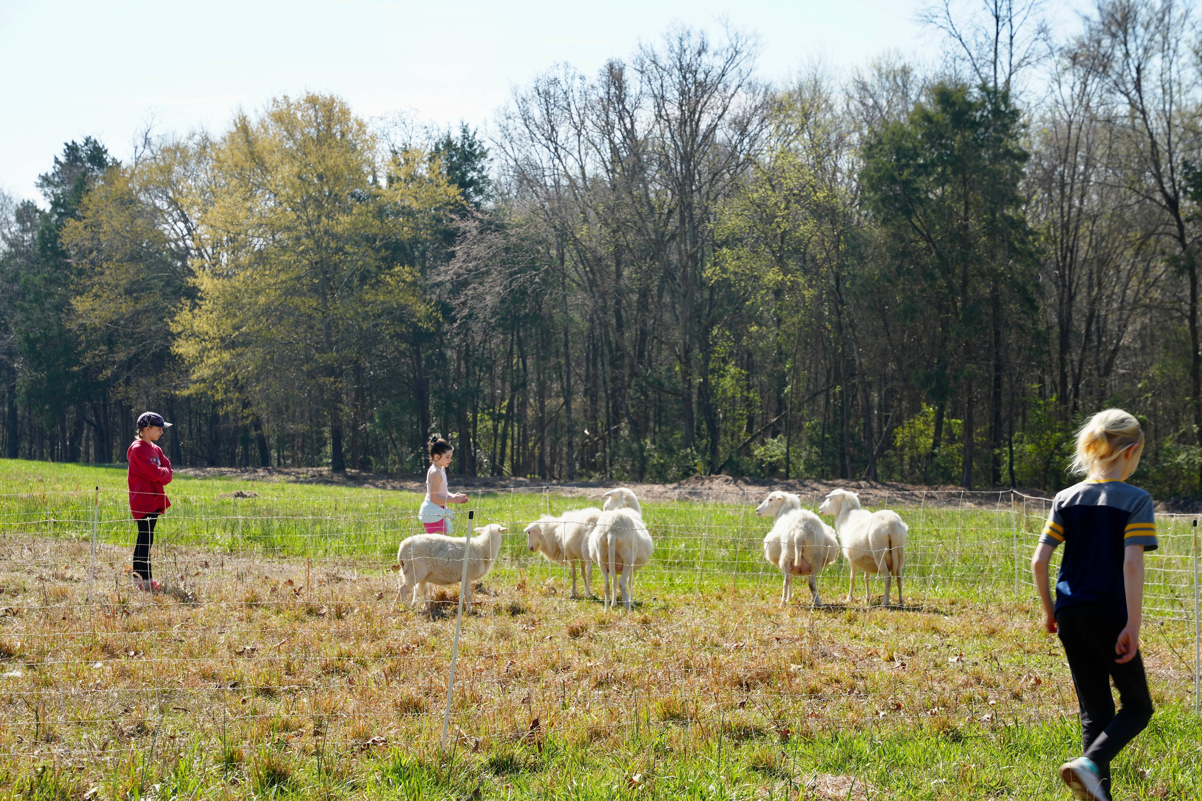 Working Farm w/ Animals and Kayaks
