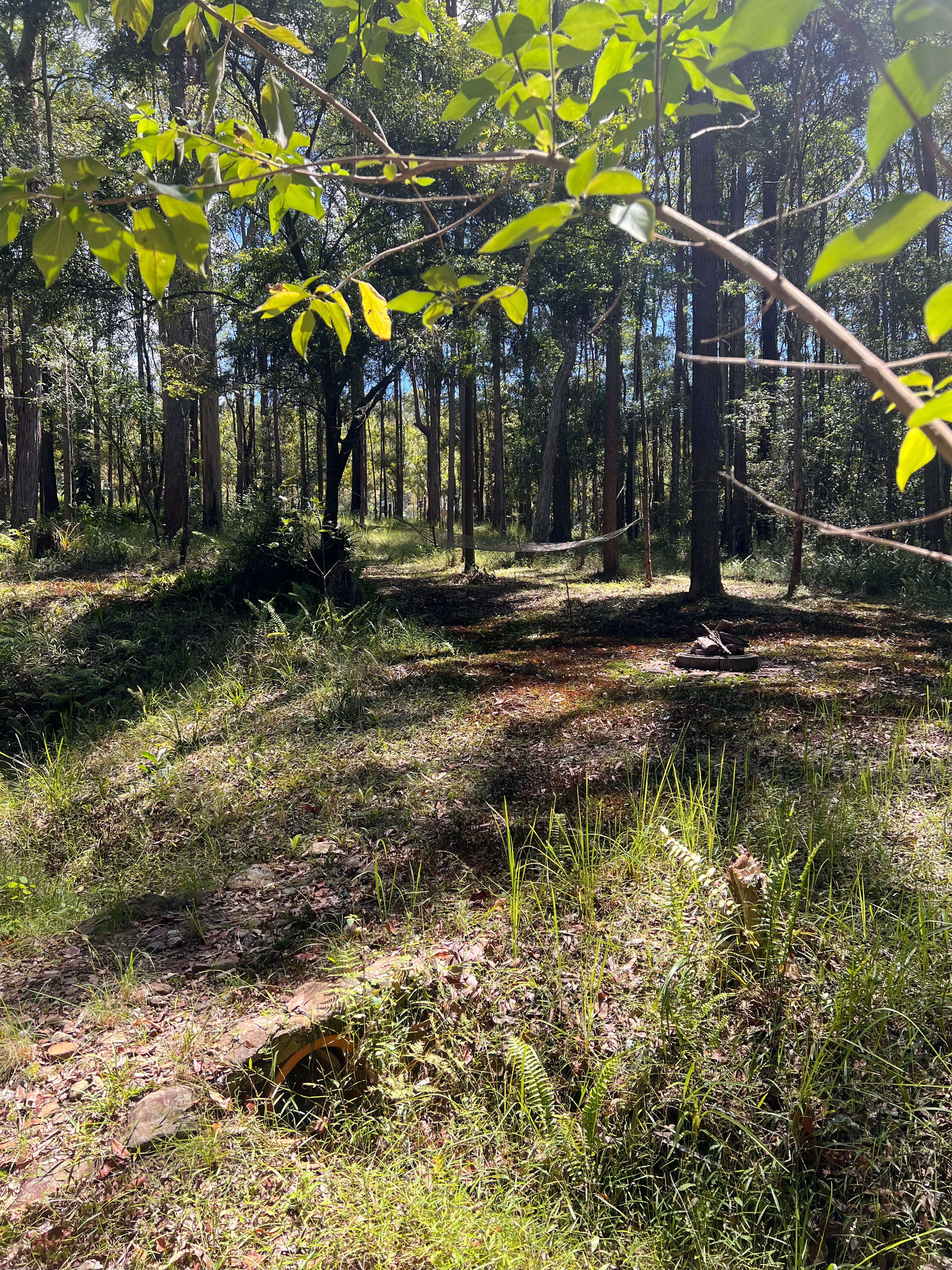🌿 Cooroora Mountain Retreat