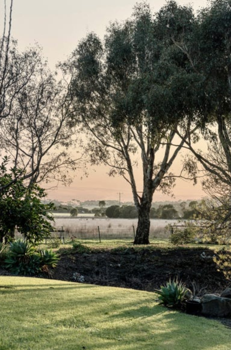 Little Creek farm stay