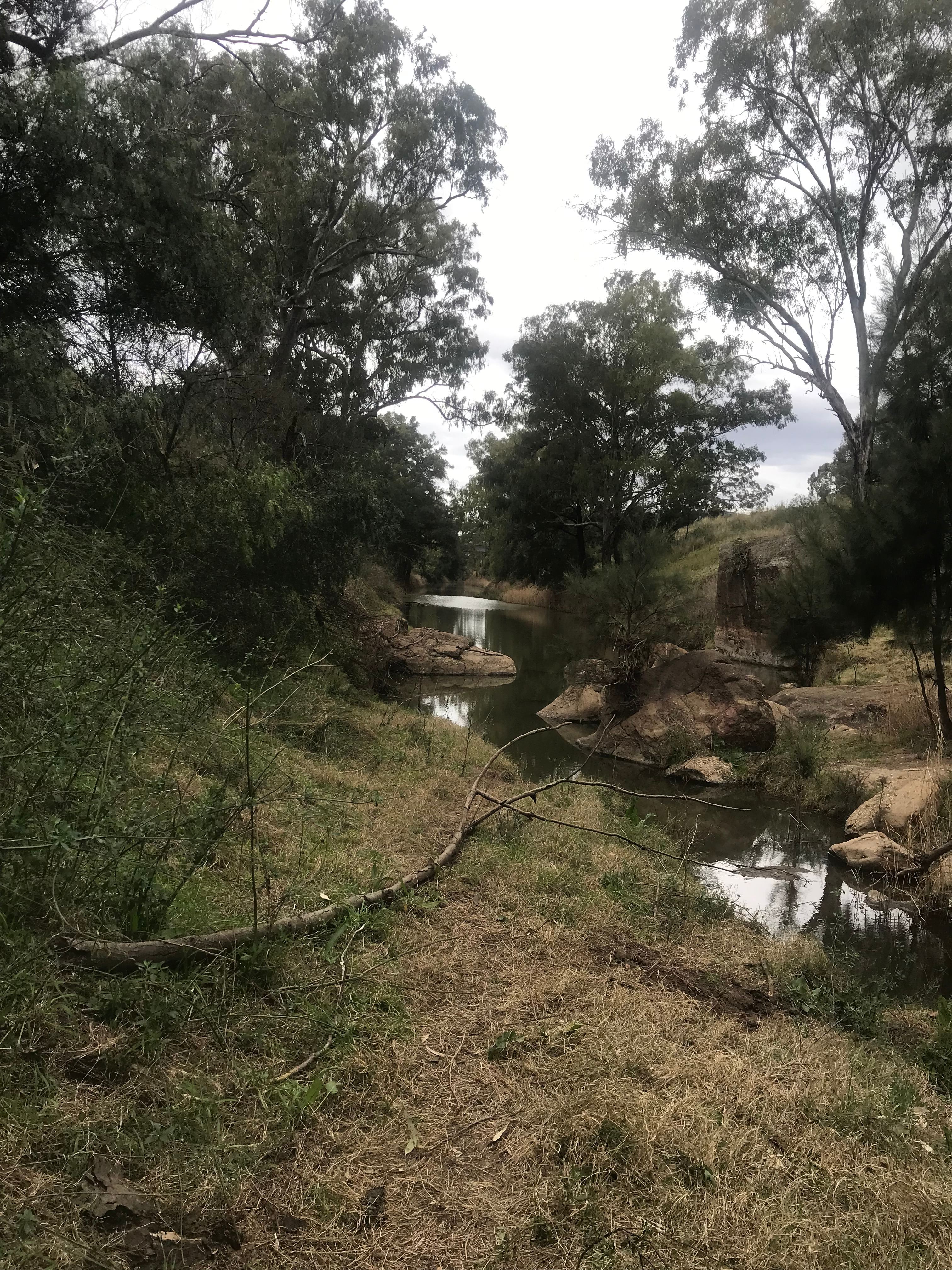 Giants Leap Creek Camp