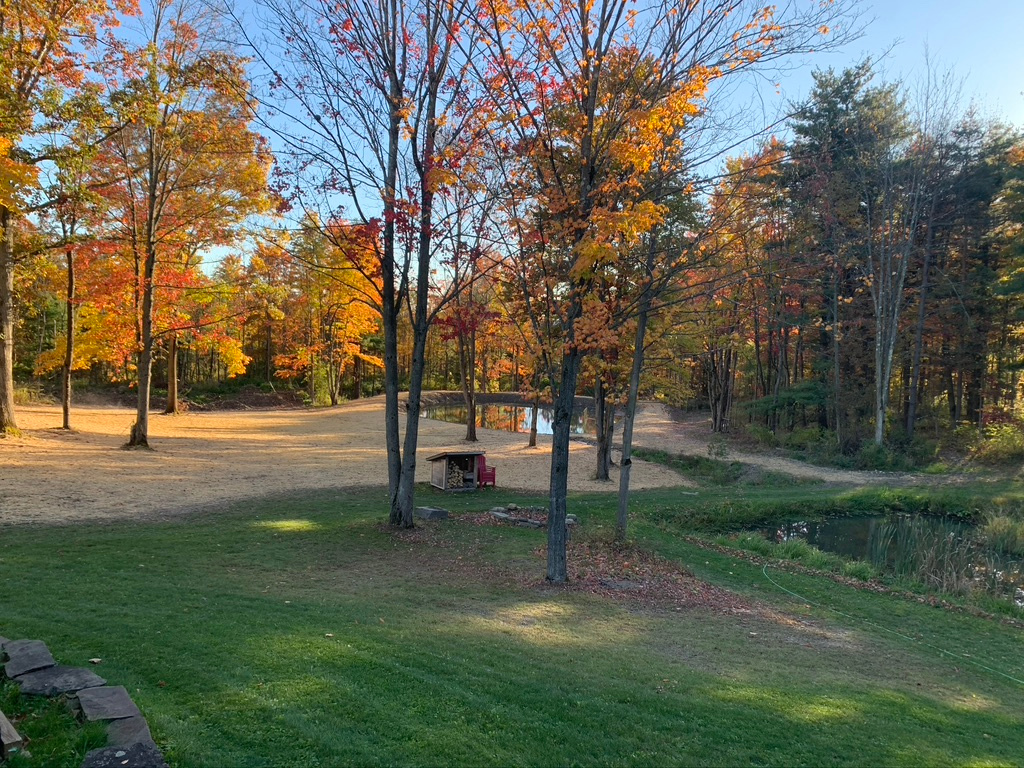 From the deck overlooking the ponds.  New trout pond in the Finger Lakes.