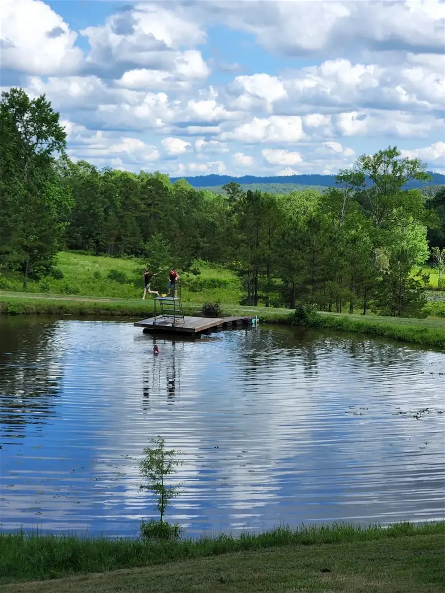 Pond at Edendell