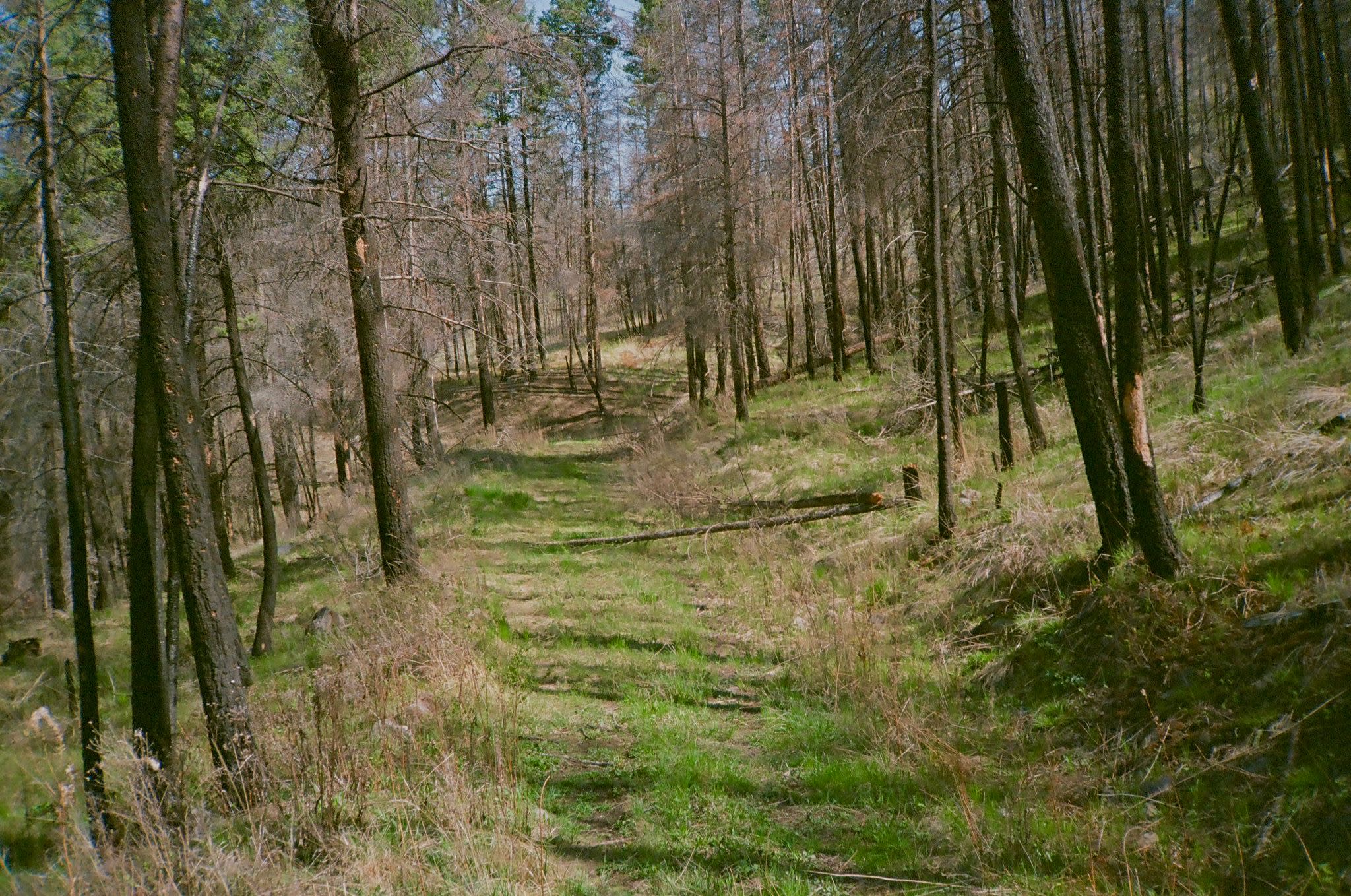 Deadman Acres - Rural Farm